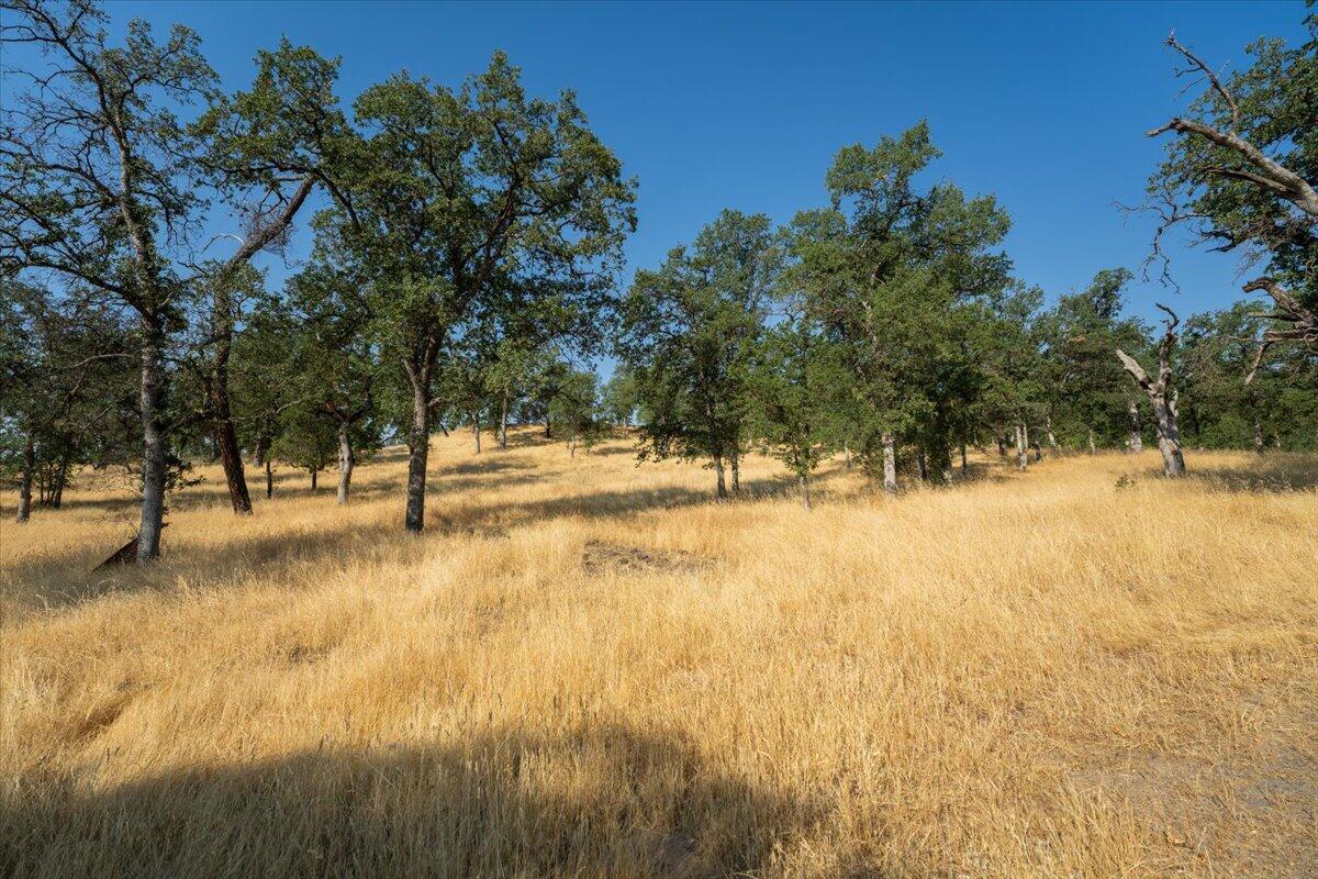 0 Two 2 Feathers Road Cottonwood, CA 96022 - Photo 15 of 41 a view of yard with trees