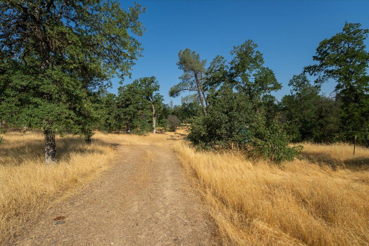 0 Two 2 Feathers Road Cottonwood, CA 96022 - Photo 16 of 41 a view of a lake view