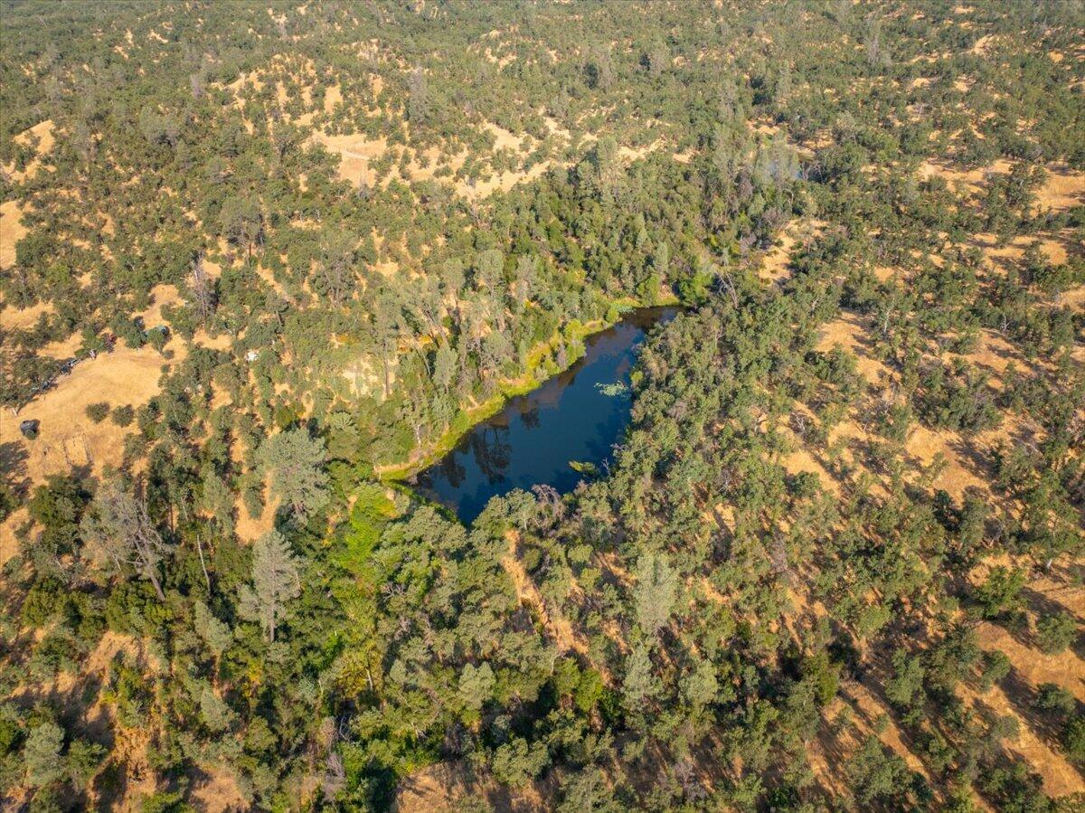 0 Two 2 Feathers Road Cottonwood, CA 96022 - Photo 21 of 41 a view of a plants