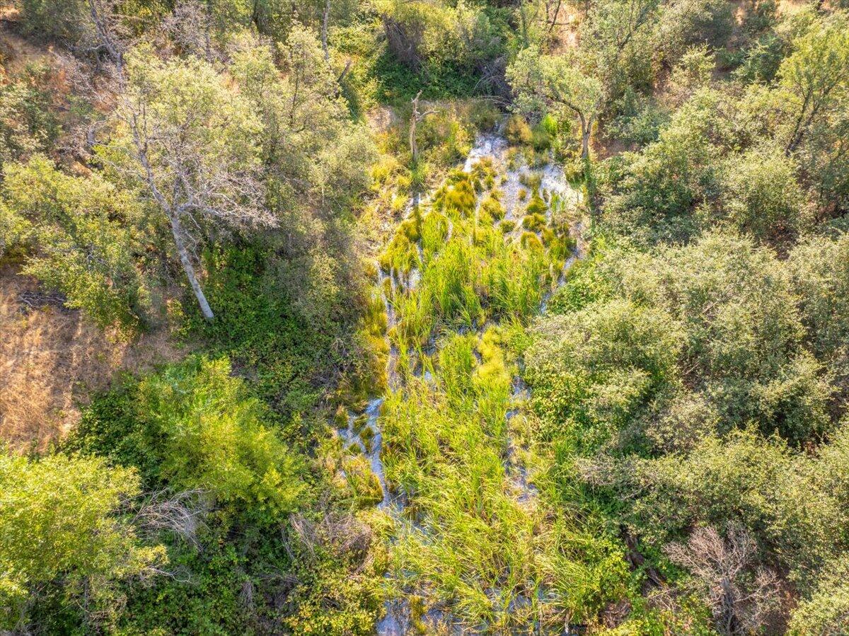 0 Two 2 Feathers Road Cottonwood, CA 96022 - Photo 34 of 41 a view of a yard