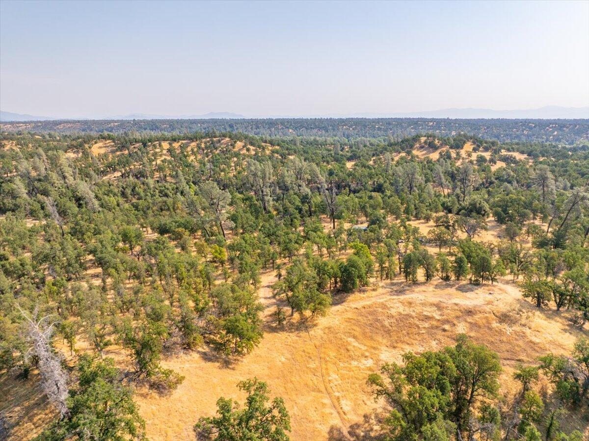 0 Two 2 Feathers Road Cottonwood, CA 96022 - Photo 36 of 41 a view of an ocean