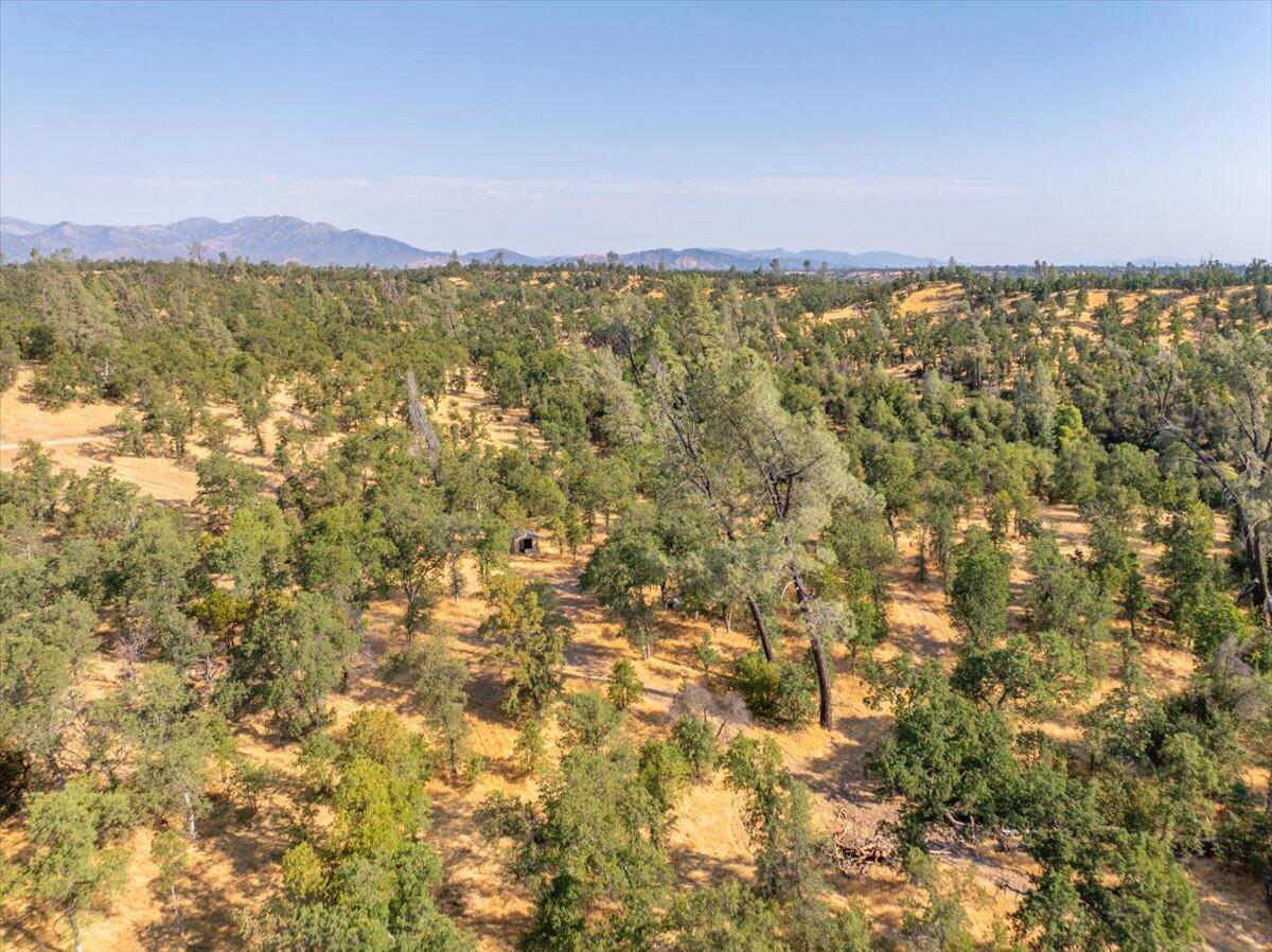 0 Two 2 Feathers Road Cottonwood, CA 96022 - Photo 37 of 41