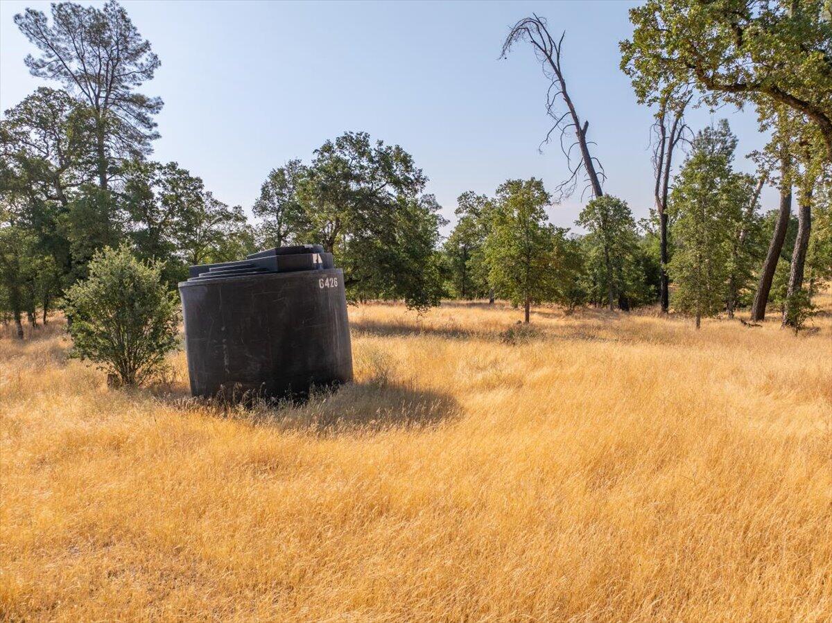 0 Two 2 Feathers Road Cottonwood, CA 96022 - Photo 38 of 41 a view of a yard with a tree