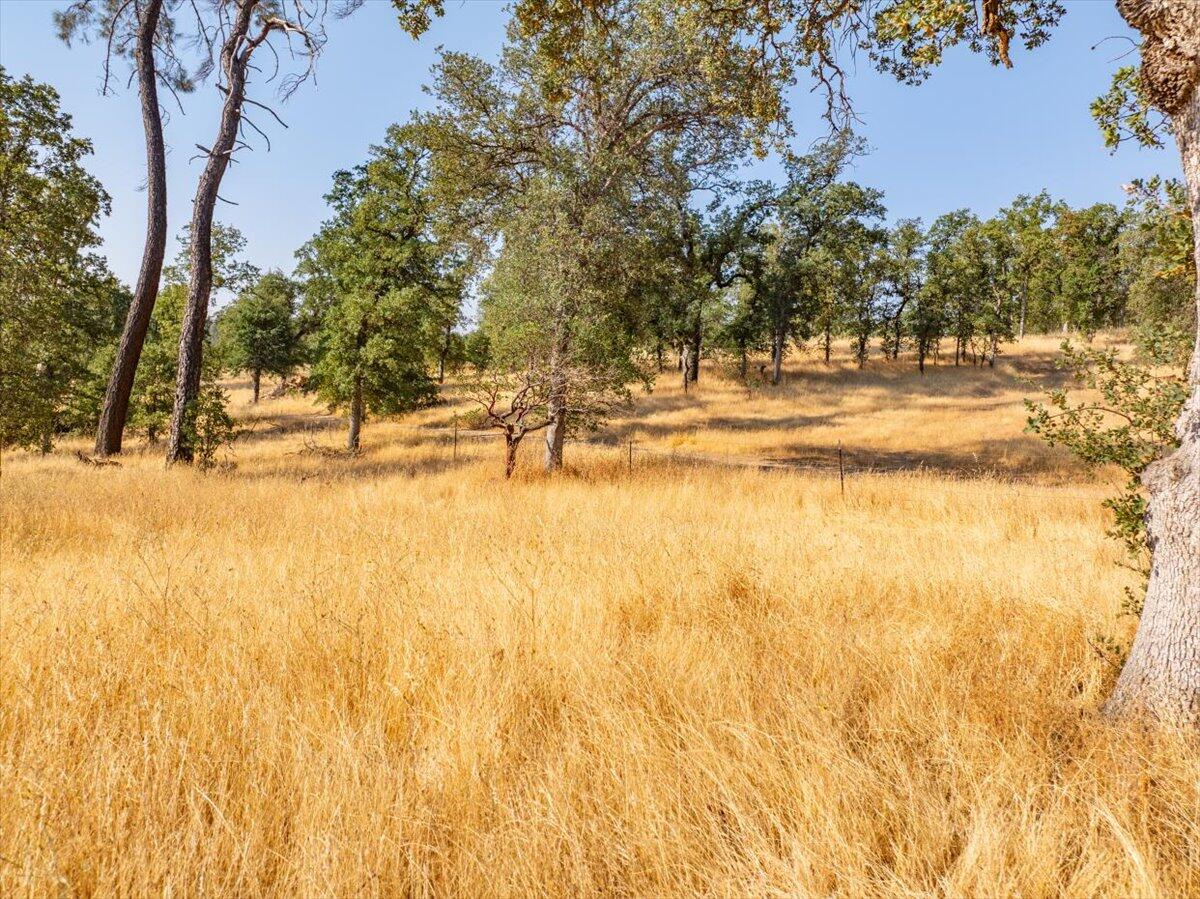 0 Two 2 Feathers Road Cottonwood, CA 96022 - Photo 39 of 41 a view of yard with swimming pool