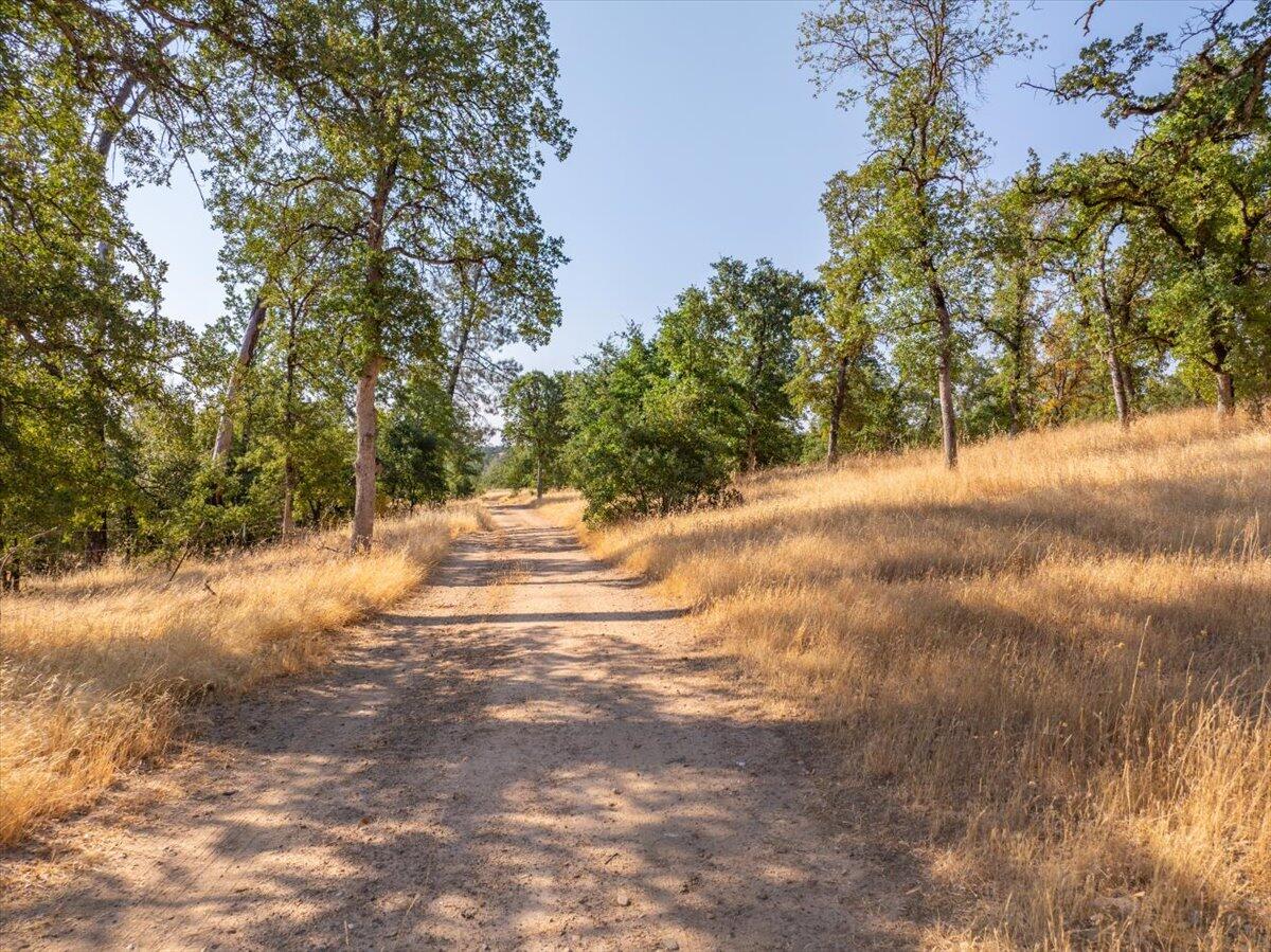 0 Two 2 Feathers Road Cottonwood, CA 96022 - Photo 40 of 41 a view of road and trees