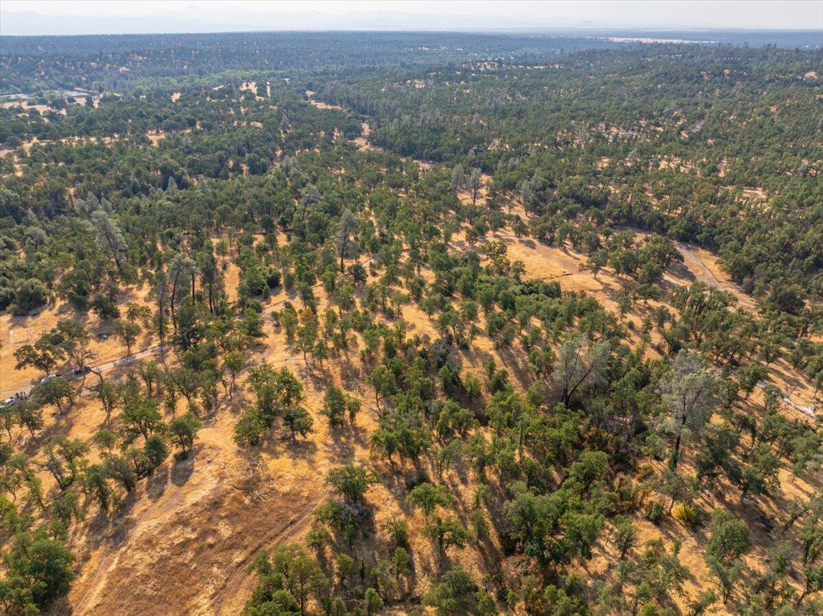 0 Two 2 Feathers Road Cottonwood, CA 96022 - Photo 7 of 41 an aerial view of forest
