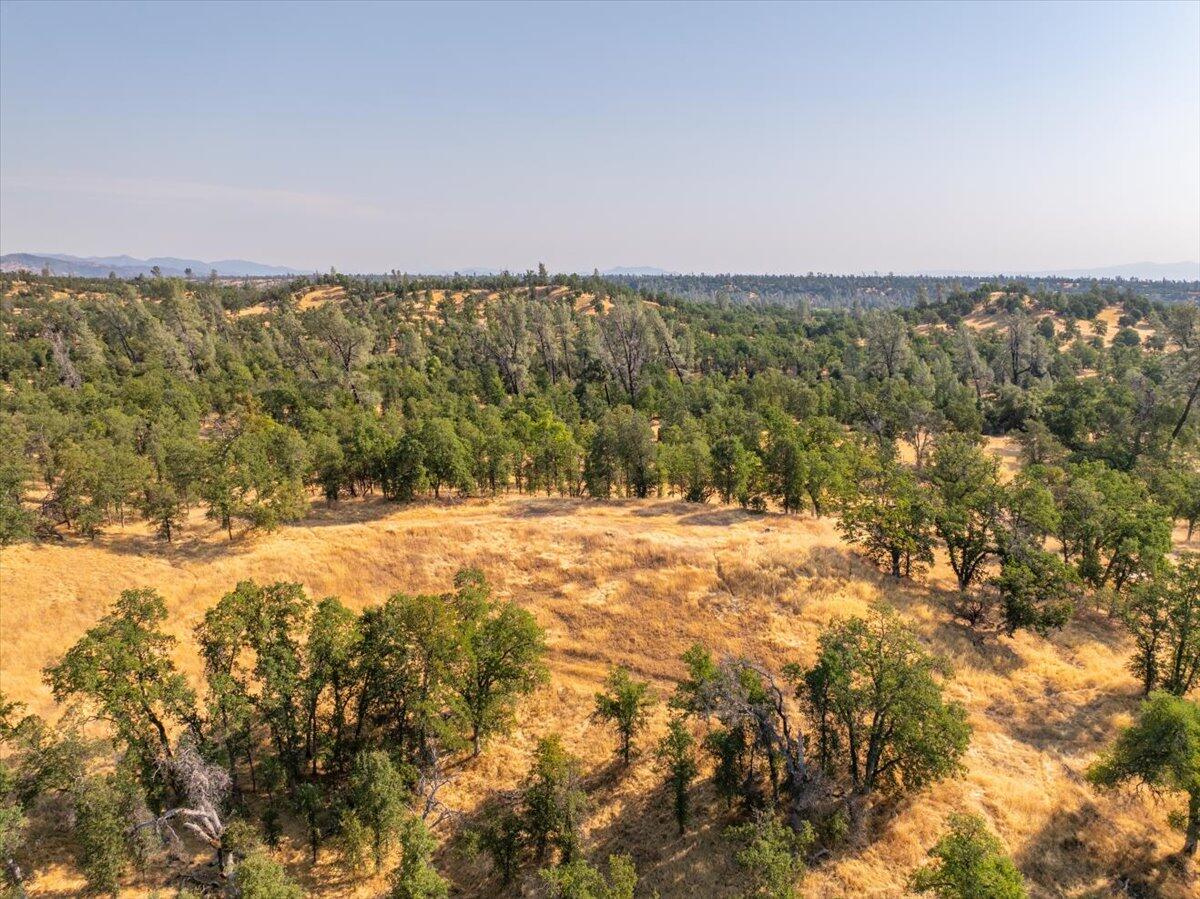 0 Two 2 Feathers Road Cottonwood, CA 96022 - Photo 8 of 41 a view of lake view and mountain