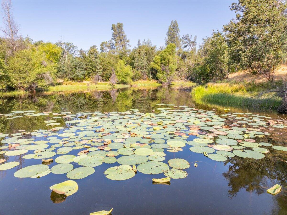 0 Two 2 Feathers Road Cottonwood, CA 96022 - Photo 10 of 41 a view of yard