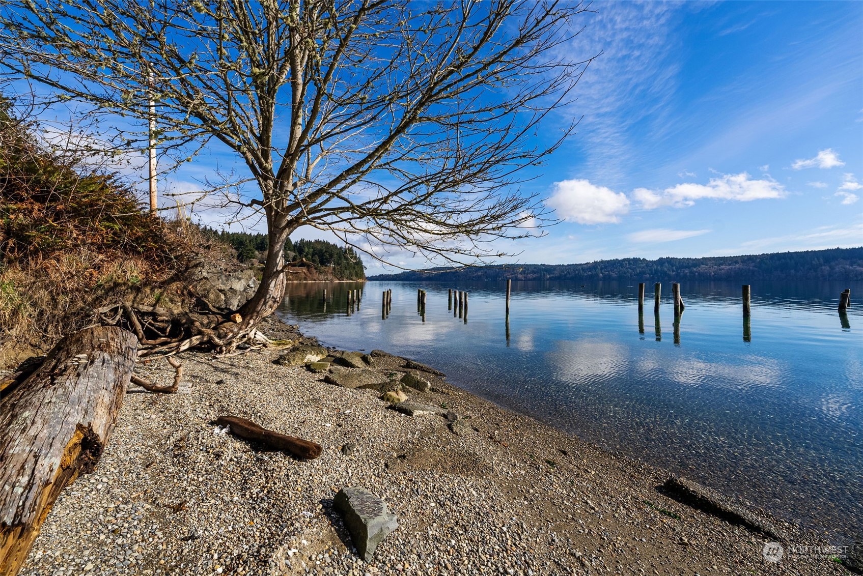 8355 Southeast Nelson Road Olalla, WA 98359 - Photo 4 of 40 Gallery Image 4