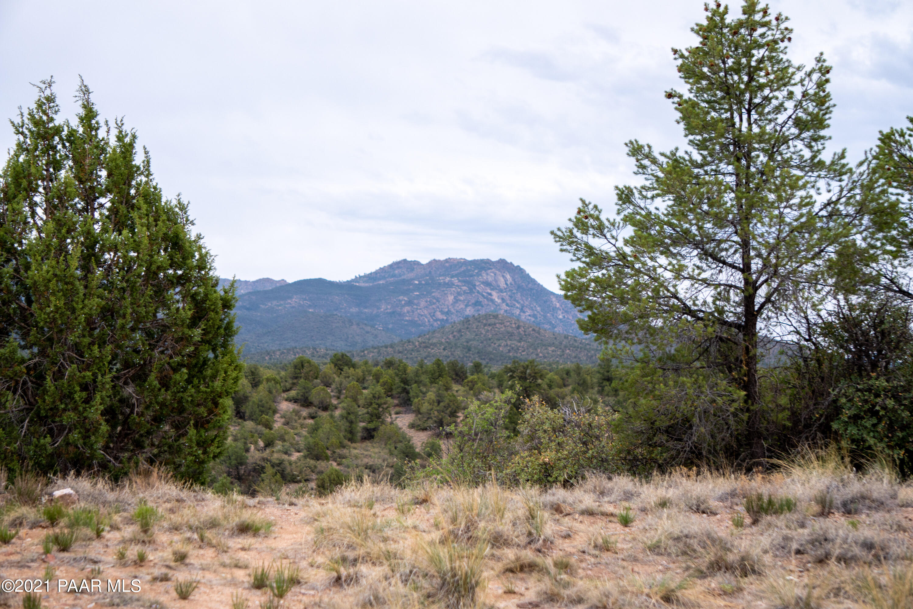 12455 North Pheasant Run Road Prescott, AZ 86305 - Photo 11 of 24 DS008506