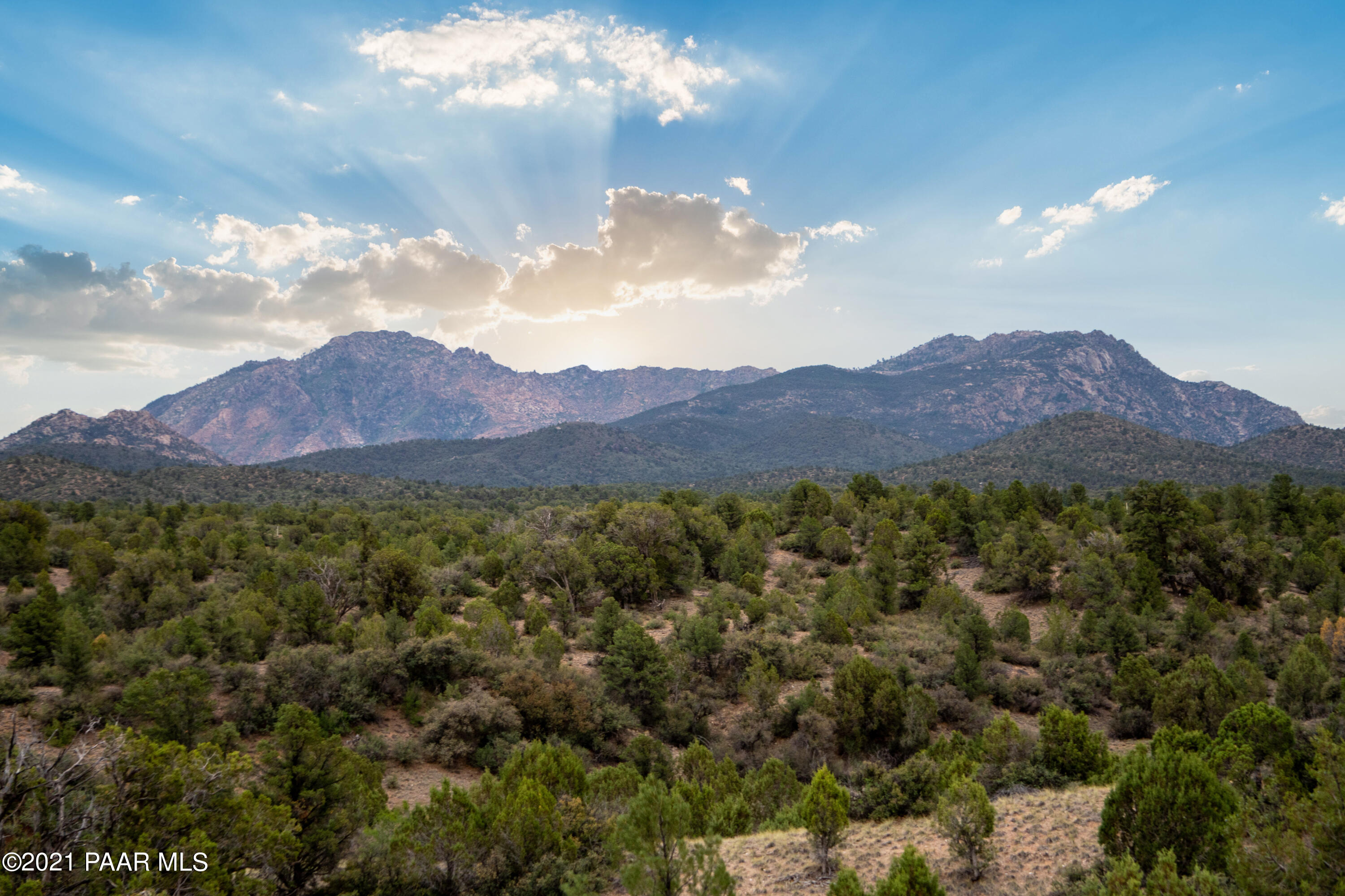 12455 North Pheasant Run Road Prescott, AZ 86305 - Photo 13 of 24 DS008510-2