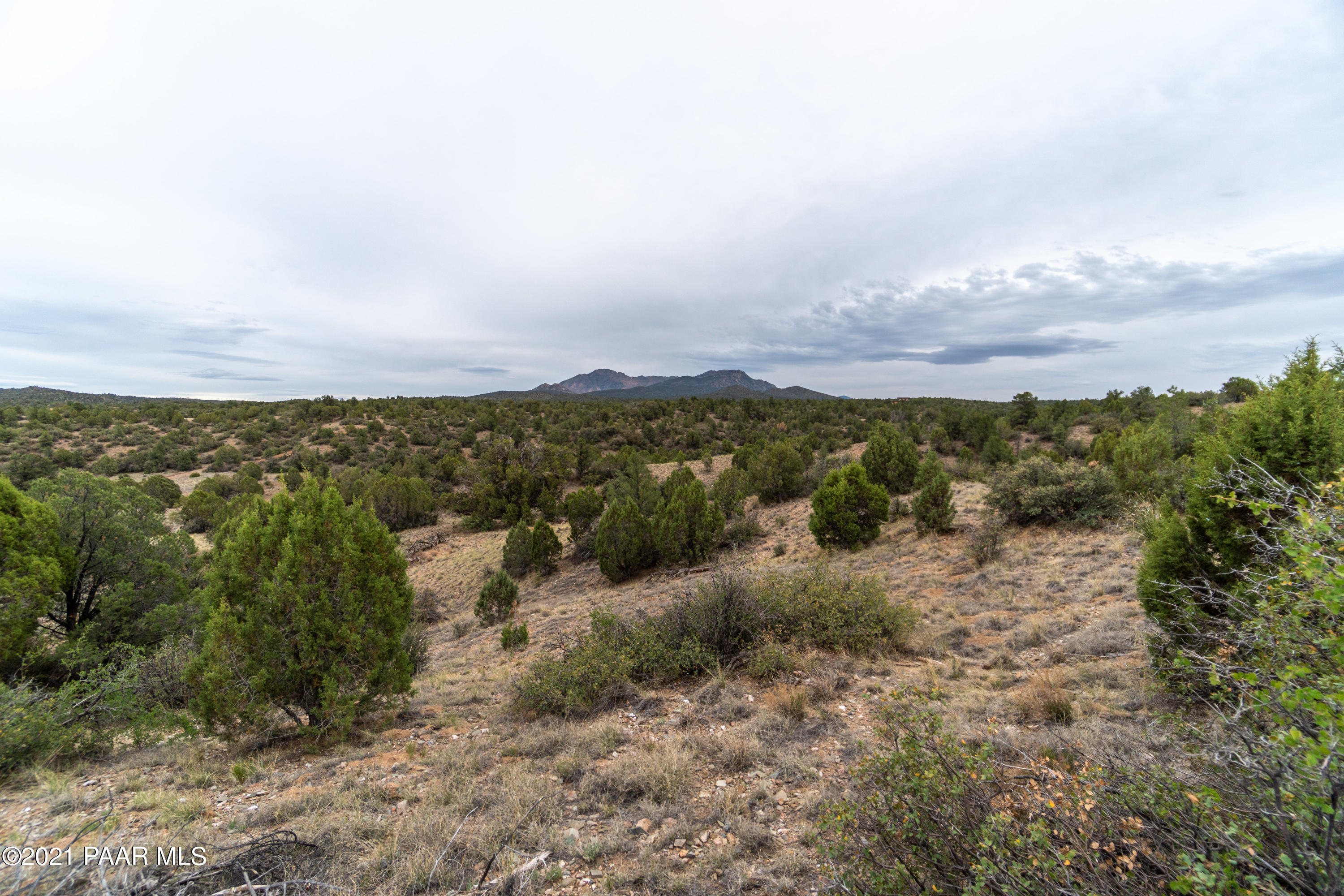 12455 North Pheasant Run Road Prescott, AZ 86305 - Photo 14 of 24 DS008511