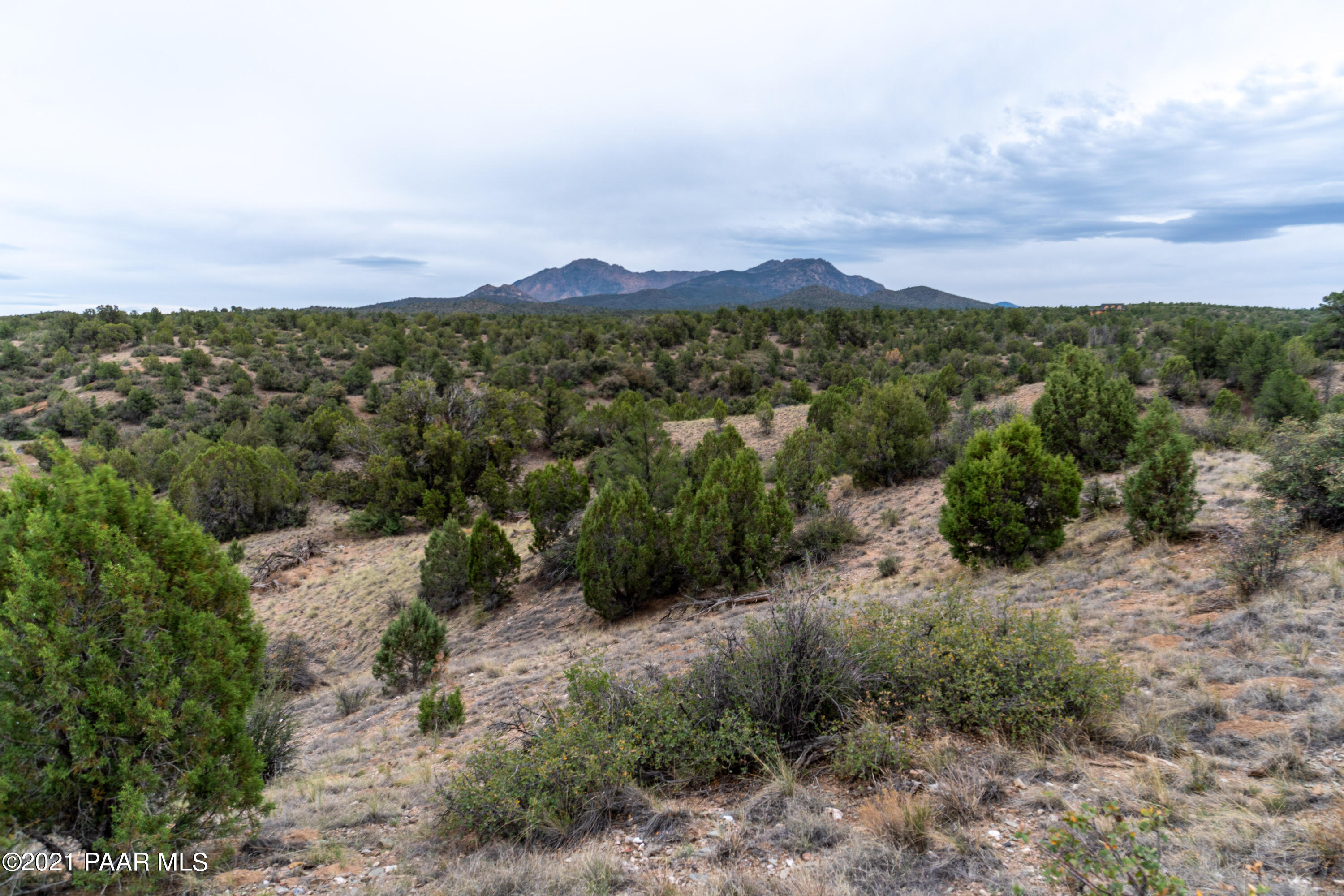 12455 North Pheasant Run Road Prescott, AZ 86305 - Photo 15 of 24 DS008513