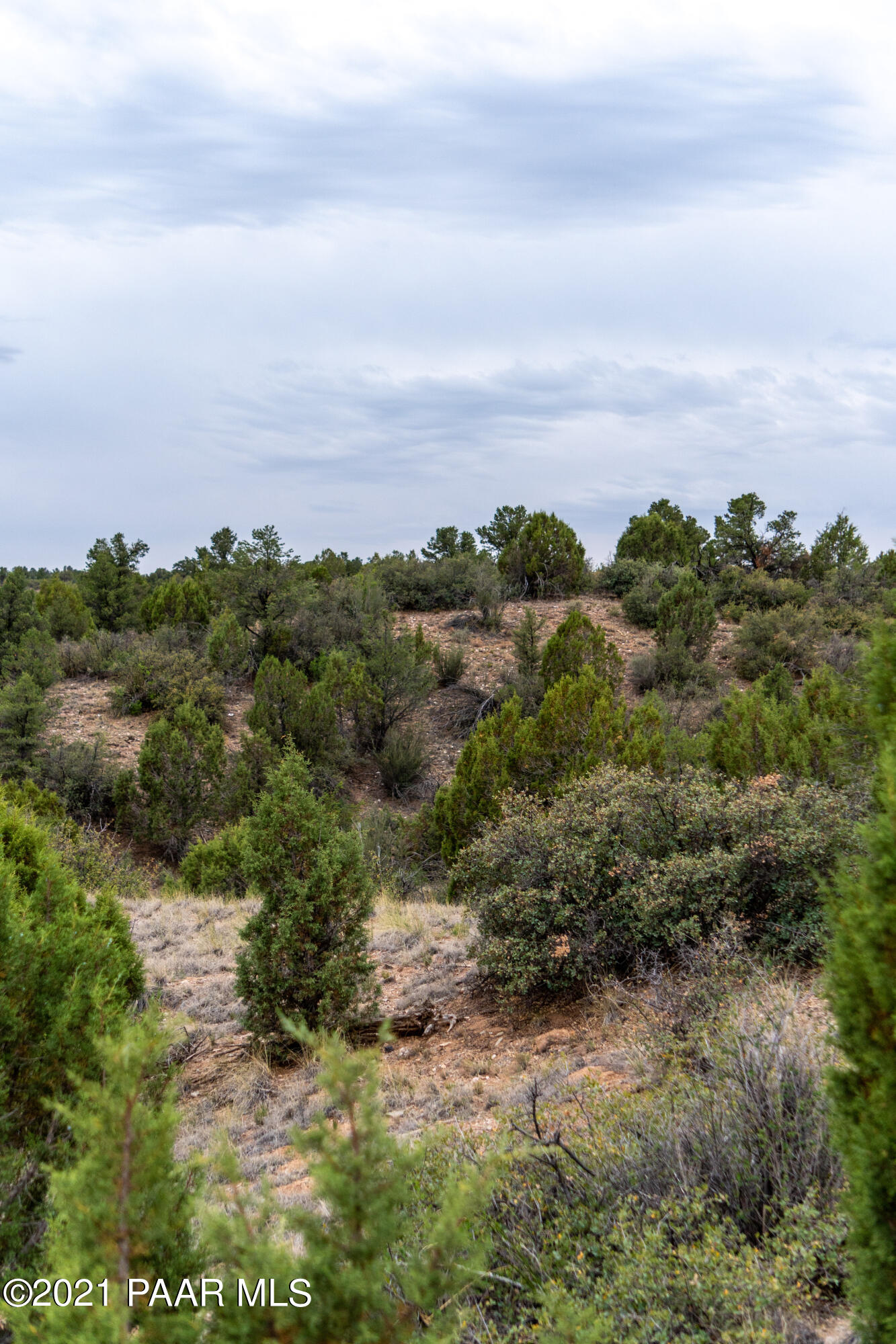 12455 North Pheasant Run Road Prescott, AZ 86305 - Photo 16 of 24 DS008514