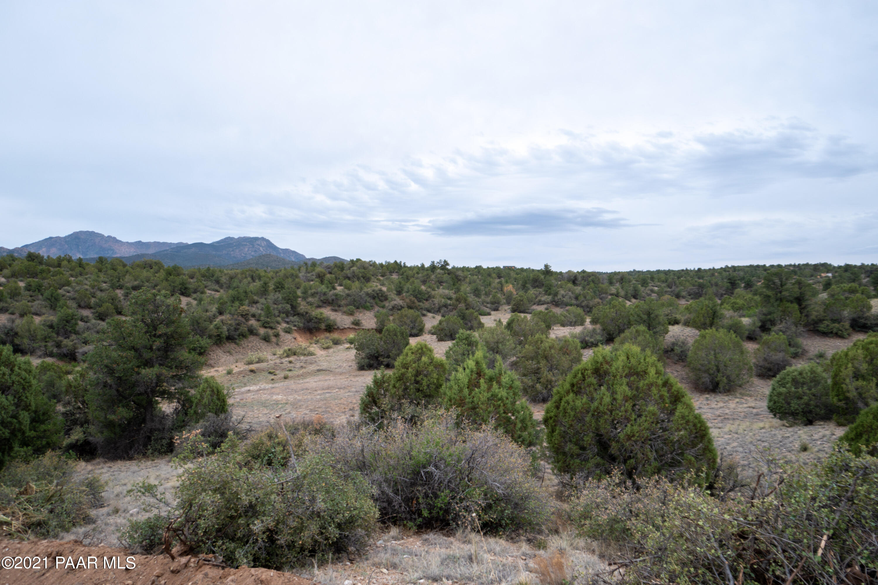 12455 North Pheasant Run Road Prescott, AZ 86305 - Photo 17 of 24 DS008520