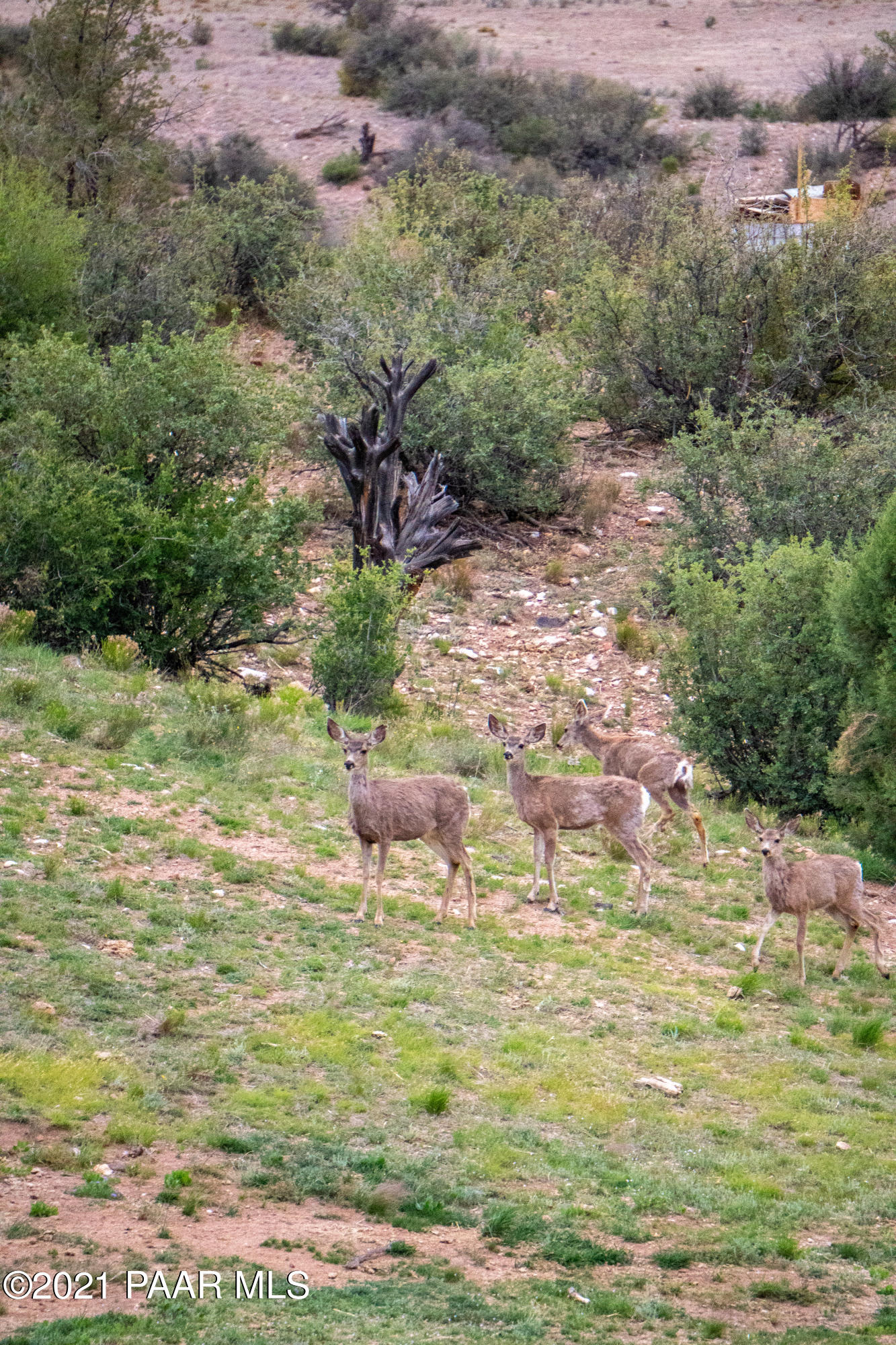 12455 North Pheasant Run Road Prescott, AZ 86305 - Photo 23 of 24 DS008540