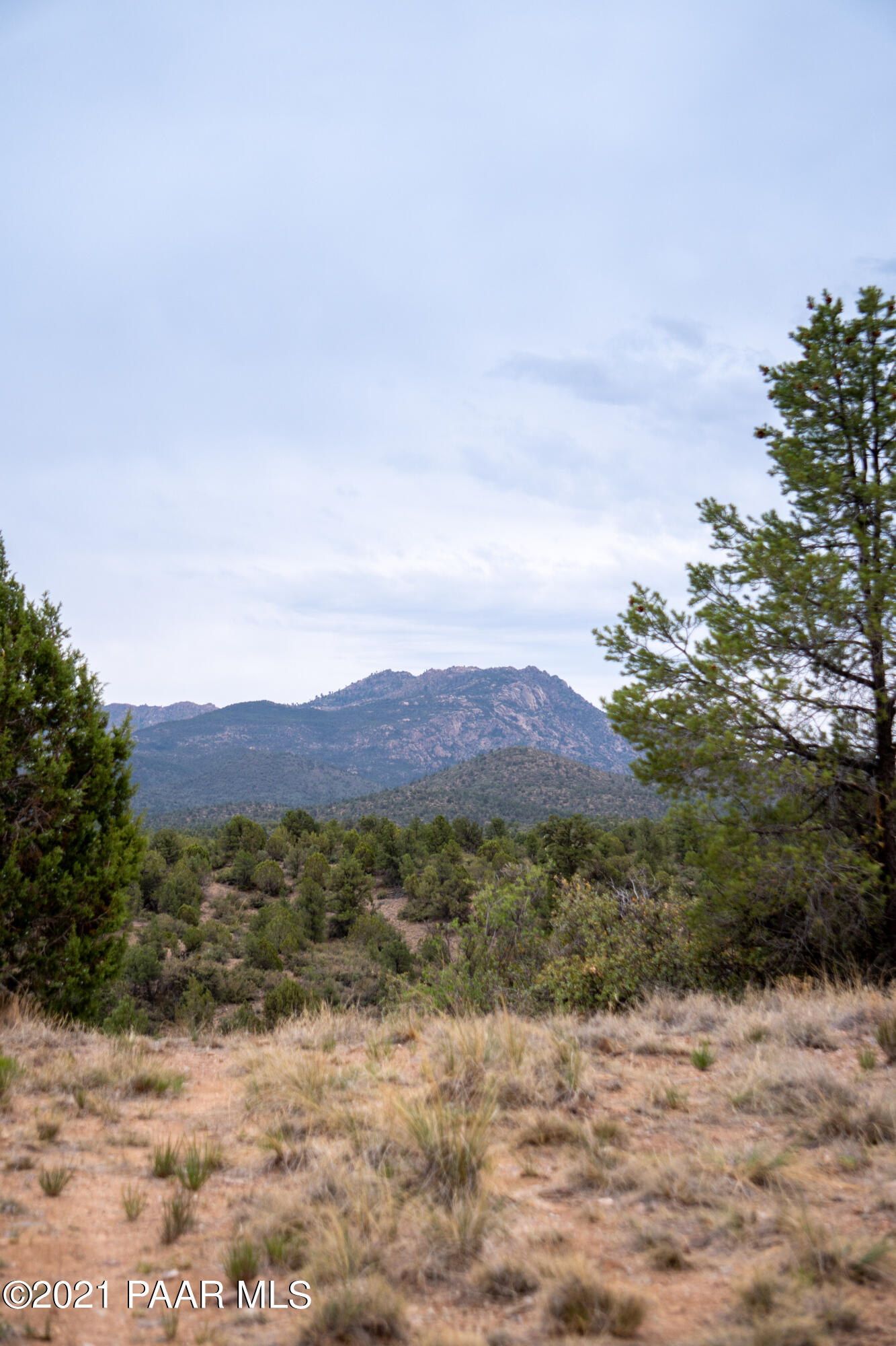 12455 North Pheasant Run Road Prescott, AZ 86305 - Photo 10 of 24 DS008505