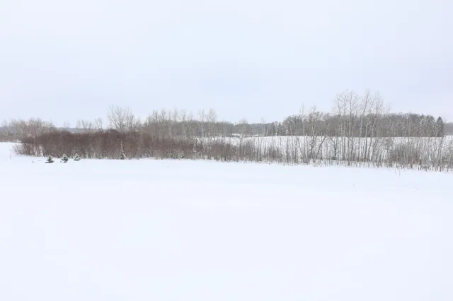 $37,500 | Tbd Tbd Tasha Drive Northwest, Garfield, MN 56332