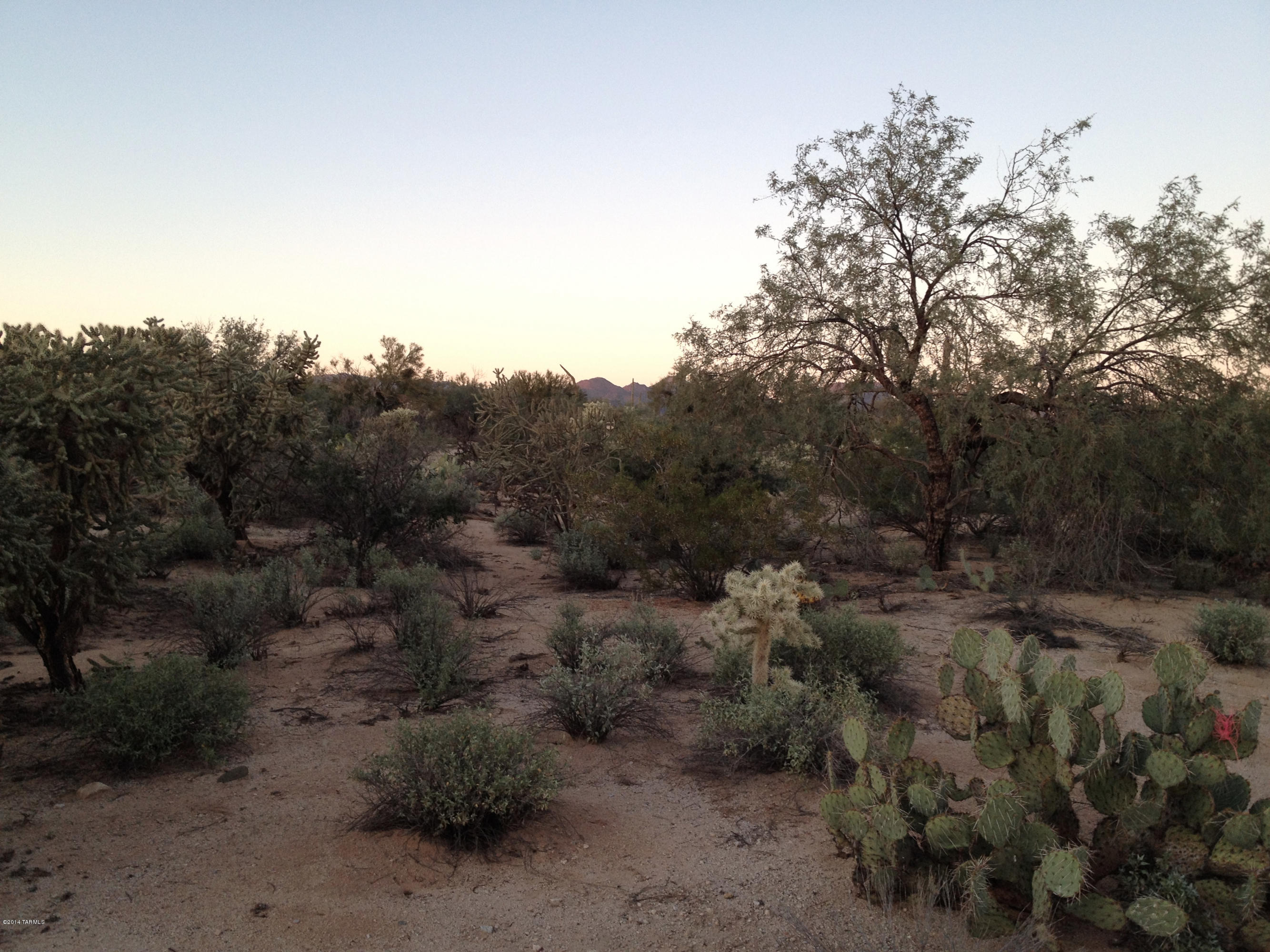 0 North Sandra Road Tucson, AZ 85742 - Photo 3 of 3