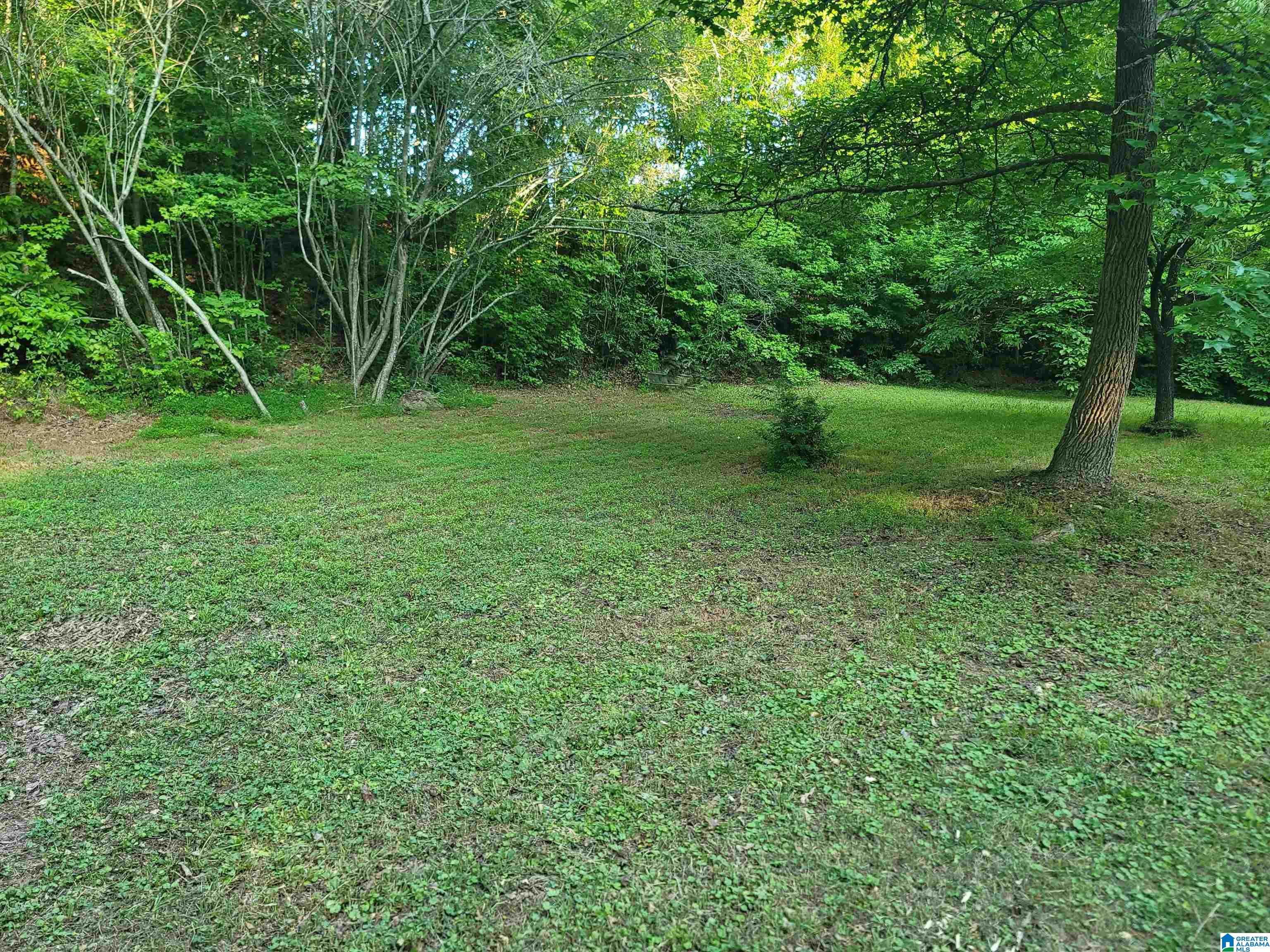 232 Brown Street Heflin, AL 36264 - Photo 26 of 26