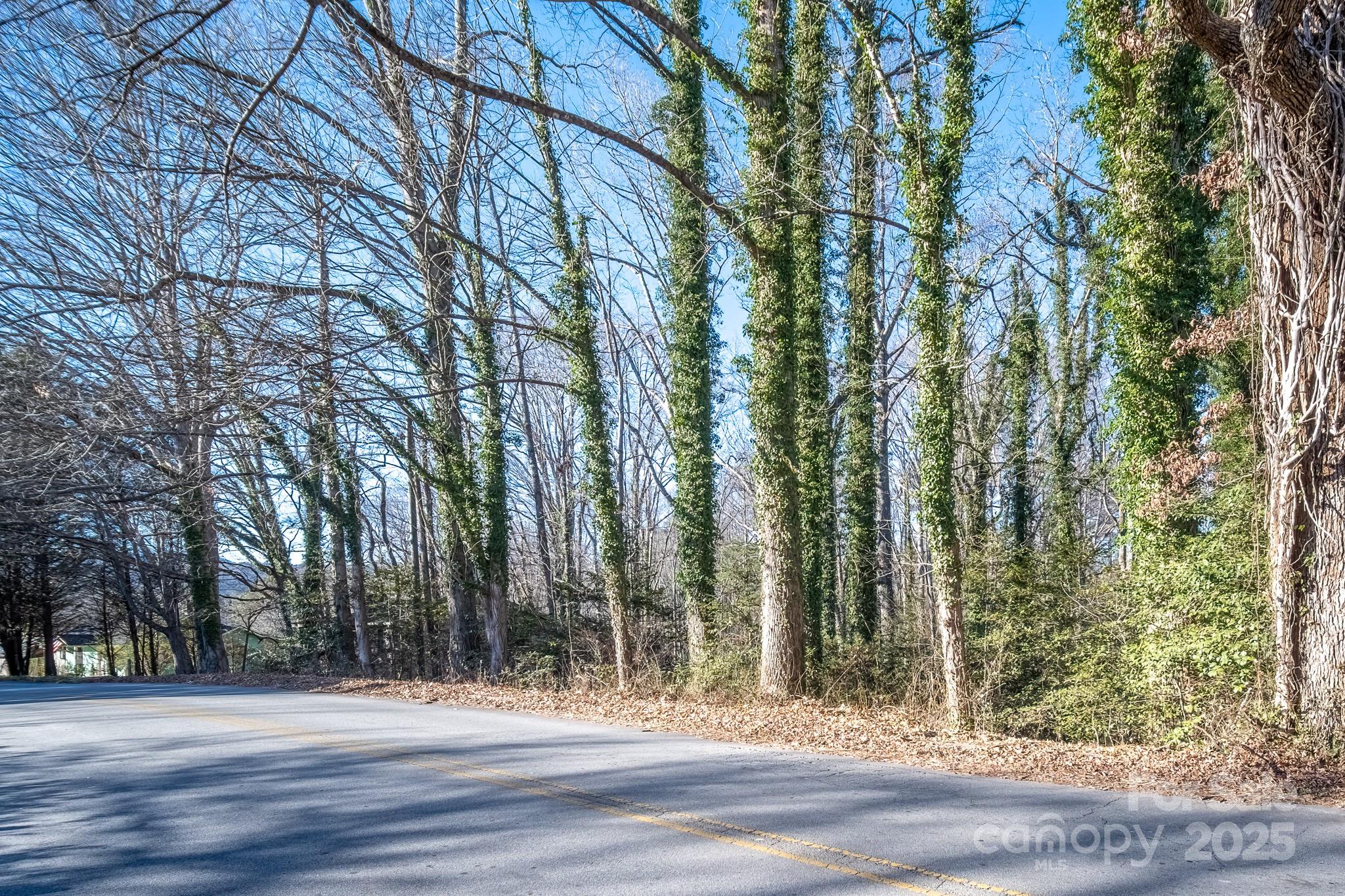 433 Osborne Road Brevard, NC 28712 - Photo 29 of 36