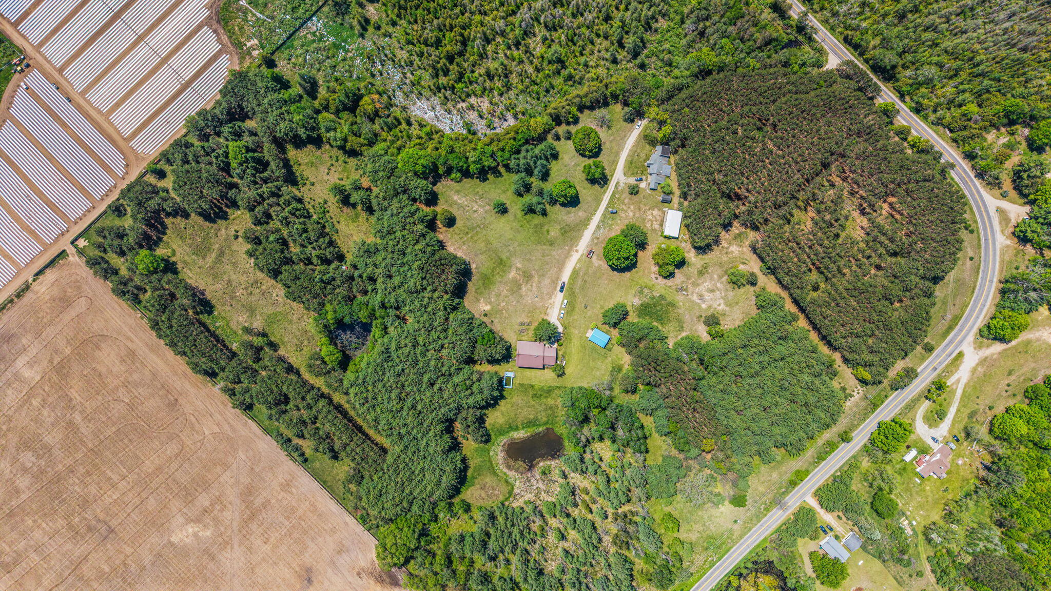 15902 Penesal Road Leroy, MI 49655 - Photo 58 of 66 62-web-or-mls-181