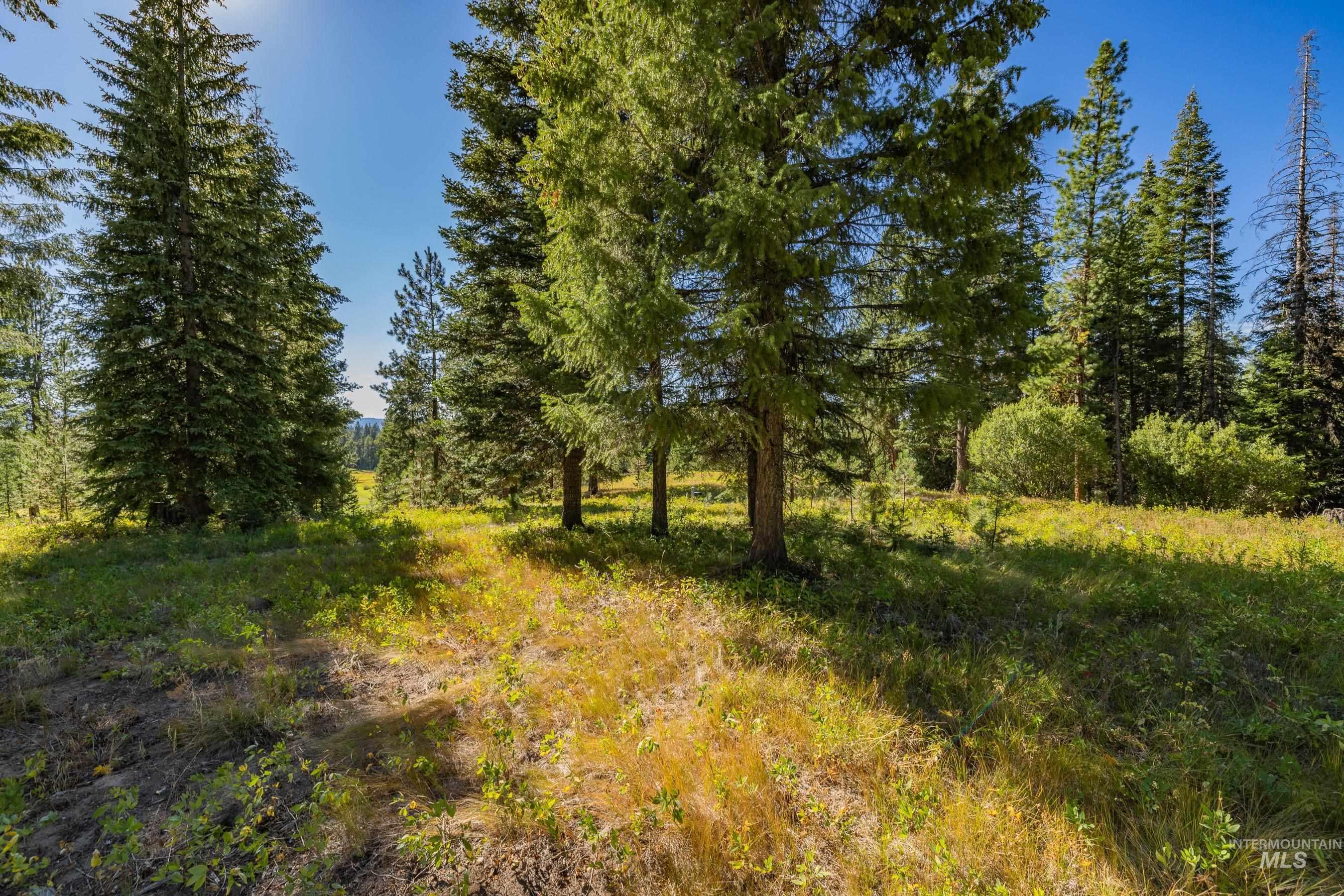 20 Vernon Court McCall, ID 83638 - Photo 11 of 30 View of nature