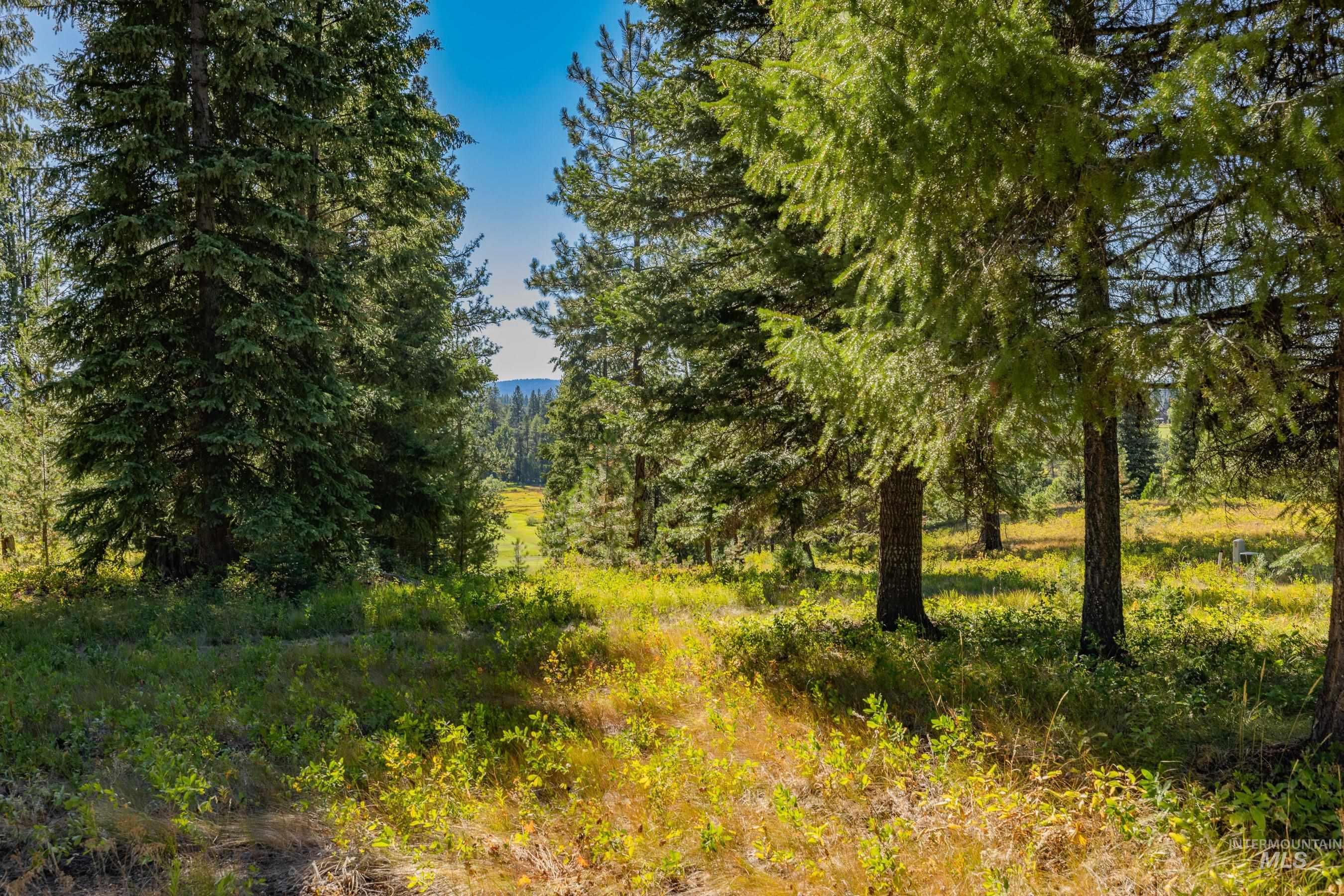 20 Vernon Court McCall, ID 83638 - Photo 12 of 30 View of local wilderness