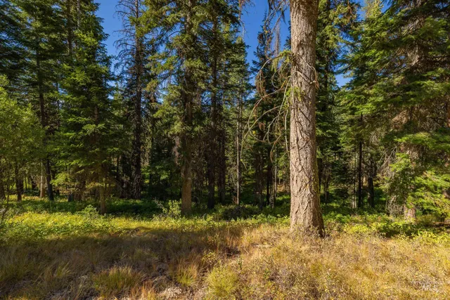 $233,000 | 20 Vernon Court, McCall, ID 83638