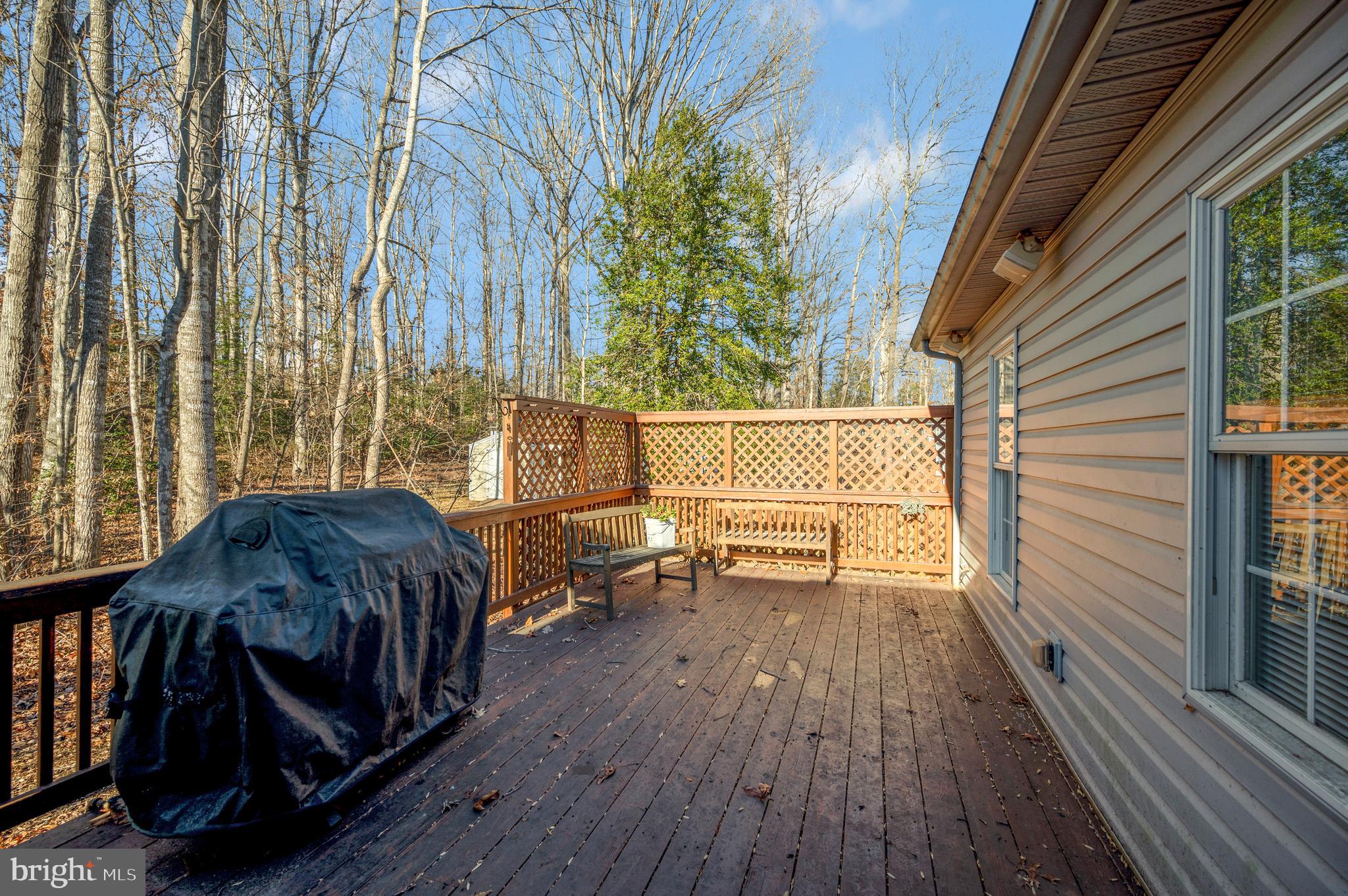 206 Battlefield Road Locust Grove, VA 22508 - Photo 30 of 45 BBQ anyone?