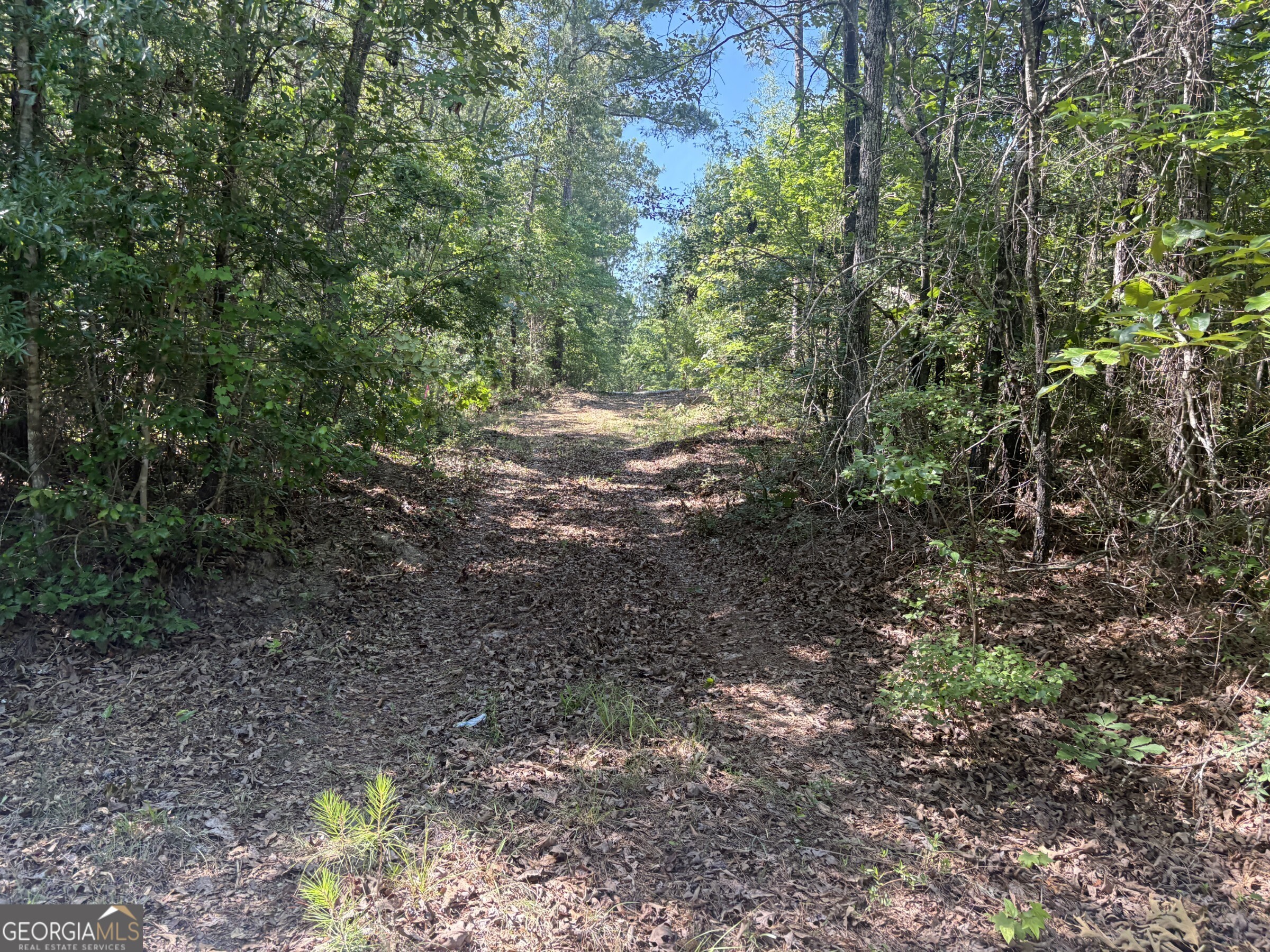 L1 Prosser Road Sandersville, GA 31082 - Photo 6 of 10