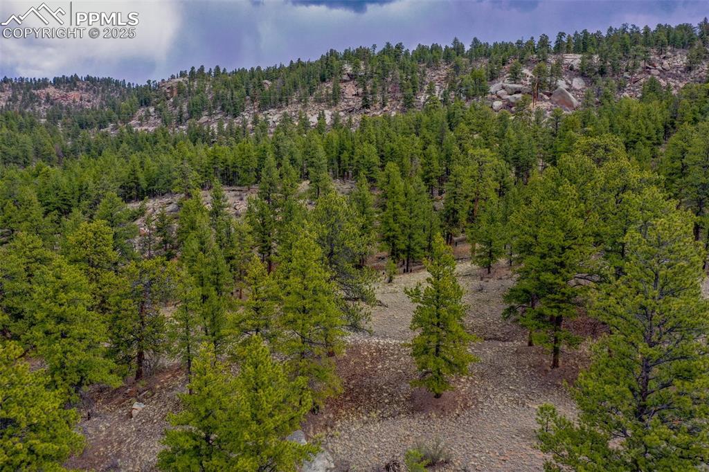 39609 Highway 24 Lake George, CO 80827 - Photo 36 of 46 Birds eye view of property with a wooded view