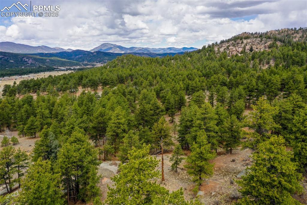 39609 Highway 24 Lake George, CO 80827 - Photo 39 of 46 Mountain view featuring a wooded view