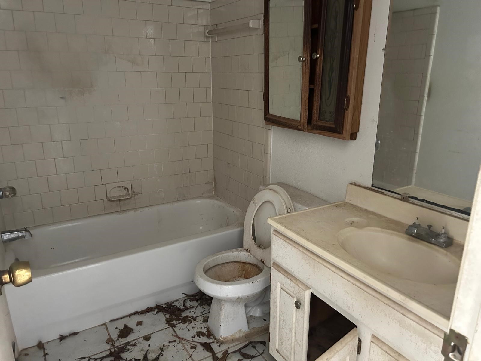 3838 Buckhurst Drive Houston, TX 77066 - Photo 15 of 21 a bathroom with a sink a toilet and a bathtub