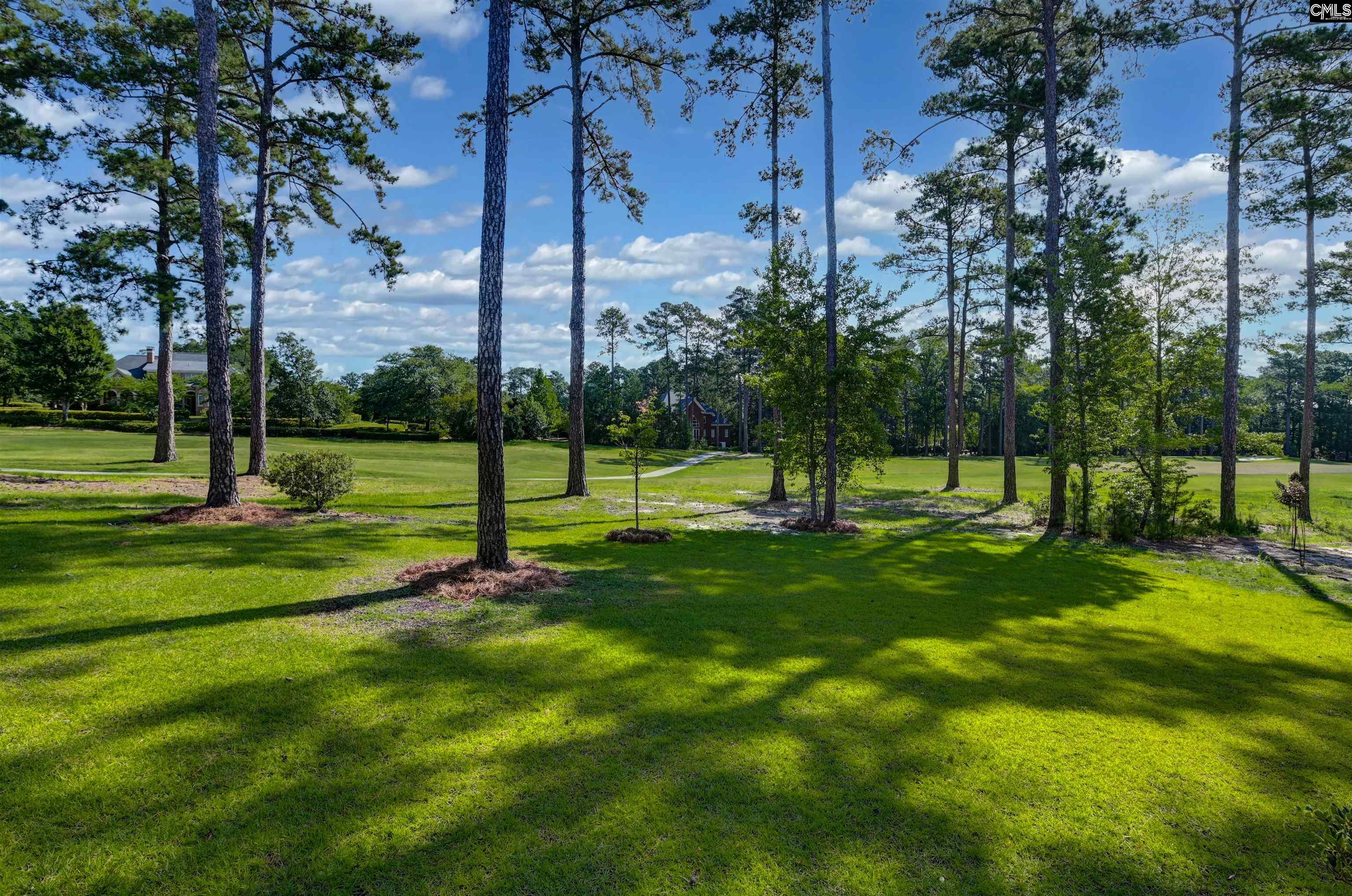 331 West Arrowleaf Lane Elgin, SC 29045 - Photo 70 of 86