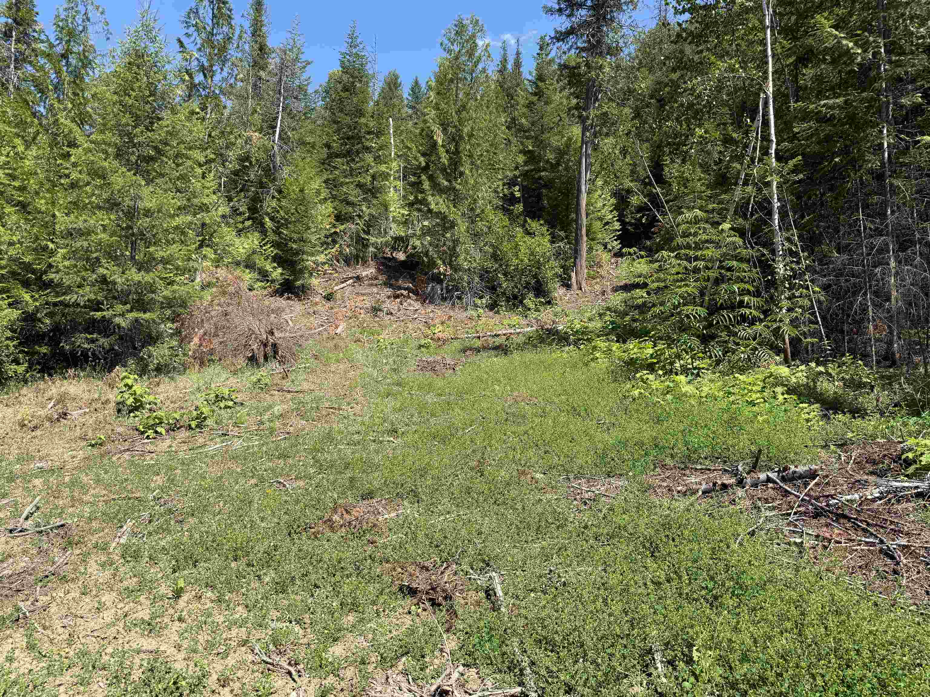 3516 Deep Lake Boundary Road Colville, WA 99114 - Photo 13 of 27 Gallery Image 13