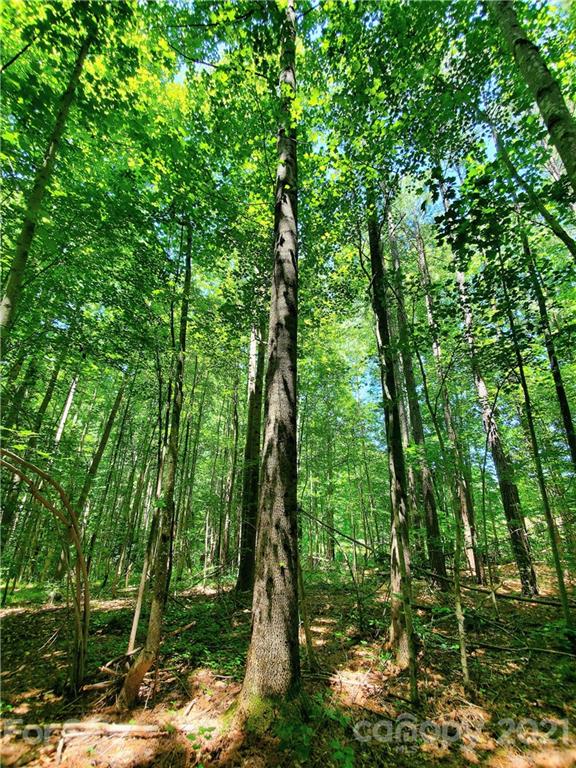 7202 Long Island Road Catawba, NC 28609 - Photo 2 of 26 Gallery Image 2
