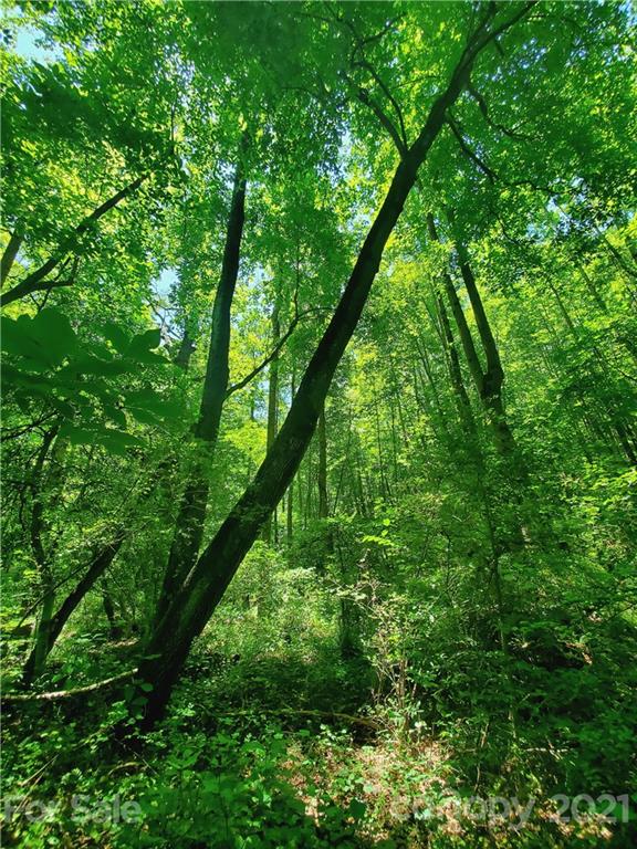 7202 Long Island Road Catawba, NC 28609 - Photo 12 of 26 Gallery Image 12