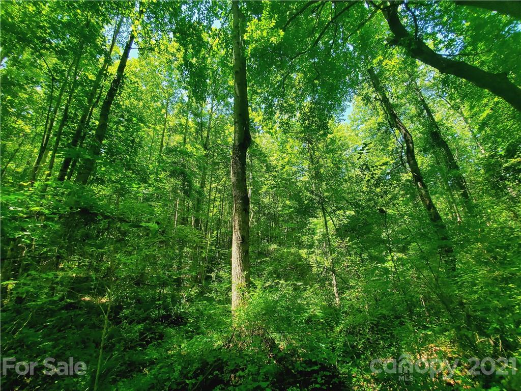 7202 Long Island Road Catawba, NC 28609 - Photo 13 of 26 Gallery Image 13