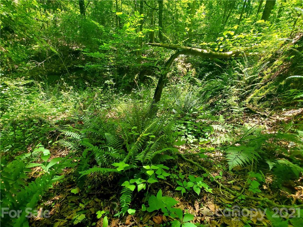 7202 Long Island Road Catawba, NC 28609 - Photo 14 of 26 Gallery Image 14