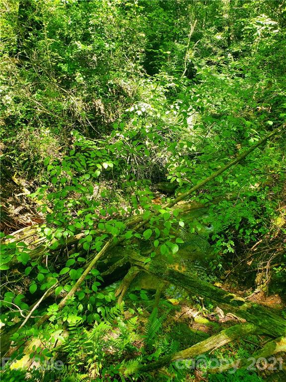 7202 Long Island Road Catawba, NC 28609 - Photo 19 of 26 Gallery Image 19