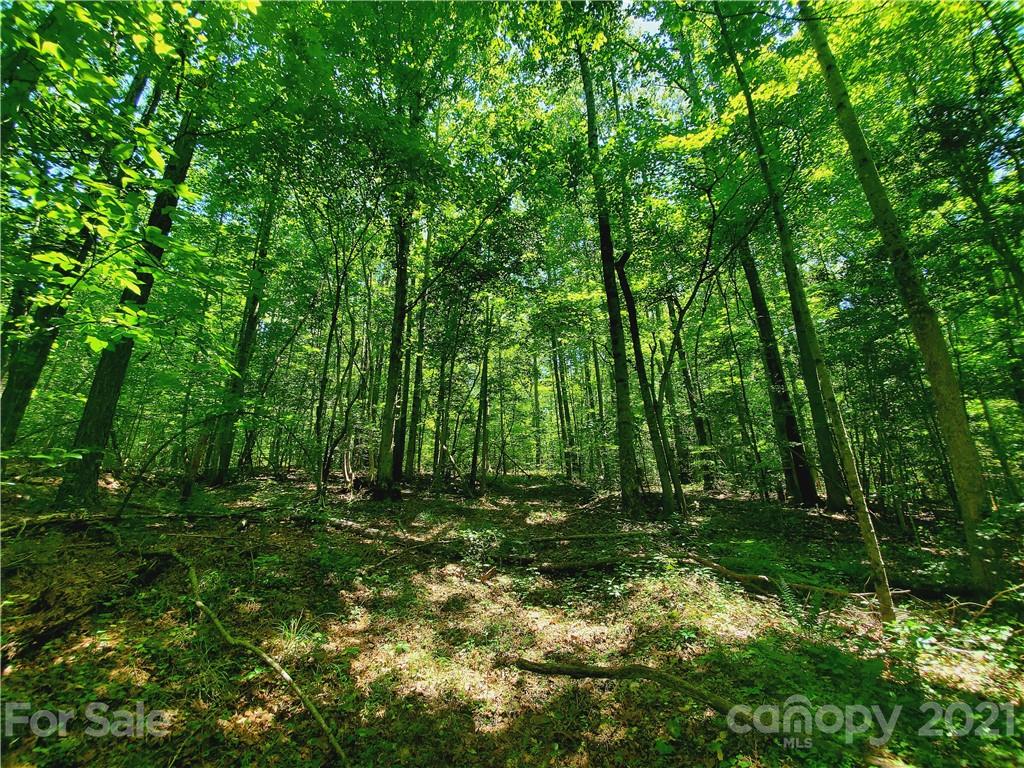 7202 Long Island Road Catawba, NC 28609 - Photo 20 of 26 Gallery Image 20