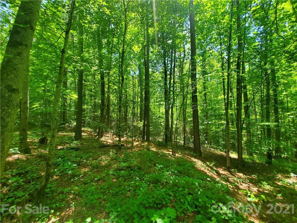 7202 Long Island Road Catawba, NC 28609 - Photo 21 of 26 Gallery Image 21