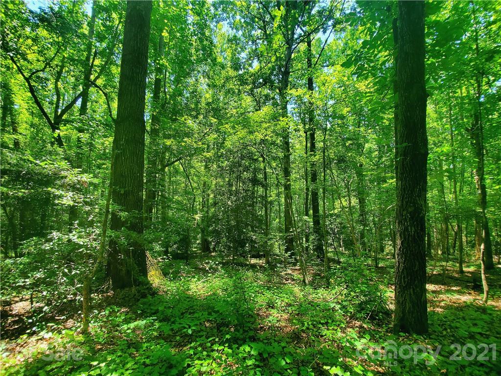7202 Long Island Road Catawba, NC 28609 - Photo 22 of 26 Gallery Image 22