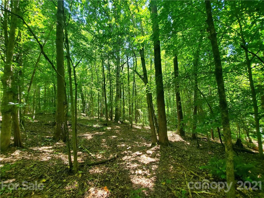7202 Long Island Road Catawba, NC 28609 - Photo 24 of 26 Gallery Image 24