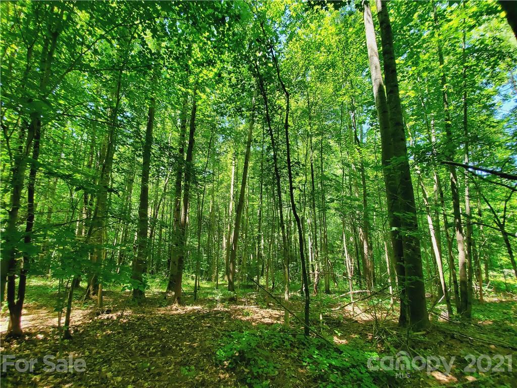 7202 Long Island Road Catawba, NC 28609 - Photo 3 of 26 Gallery Image 3