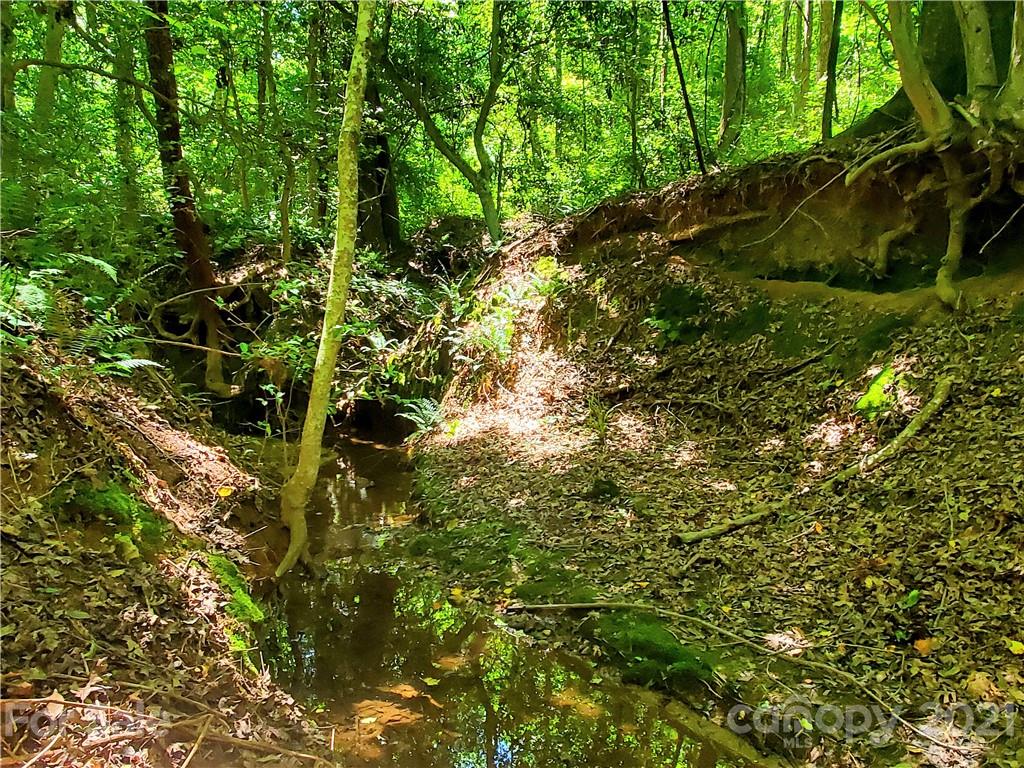 7202 Long Island Road Catawba, NC 28609 - Photo 6 of 26 Gallery Image 6