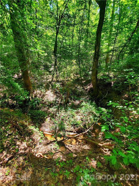 7202 Long Island Road Catawba, NC 28609 - Photo 9 of 26 Gallery Image 9