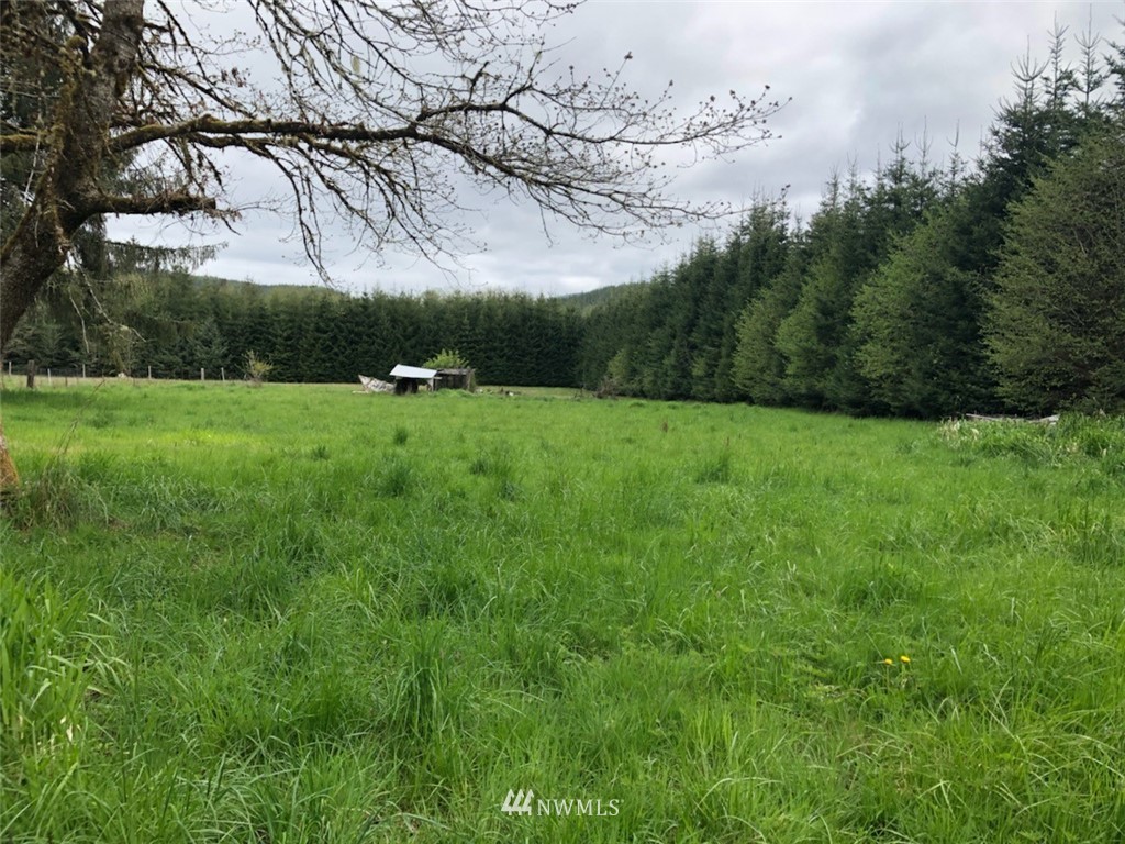2939 North River Road Cosmopolis, WA 98537 - Photo 1 of 8 Gallery Image 1
