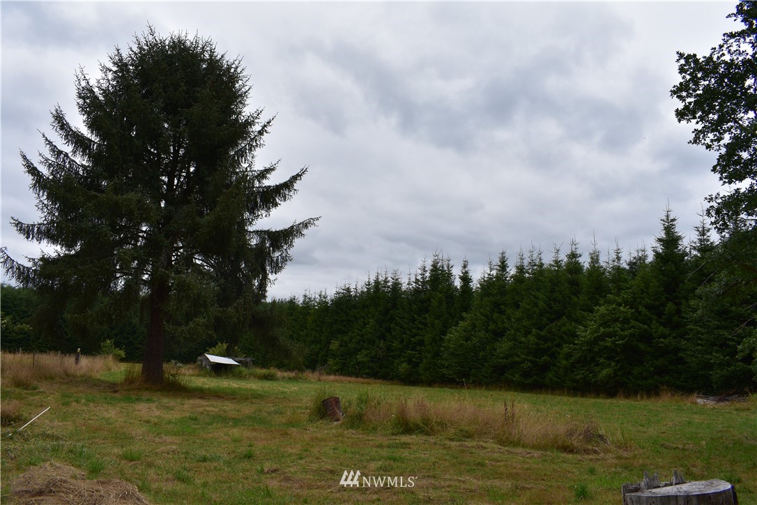 2939 North River Road Cosmopolis, WA 98537 - Photo 3 of 8 Gallery Image 3